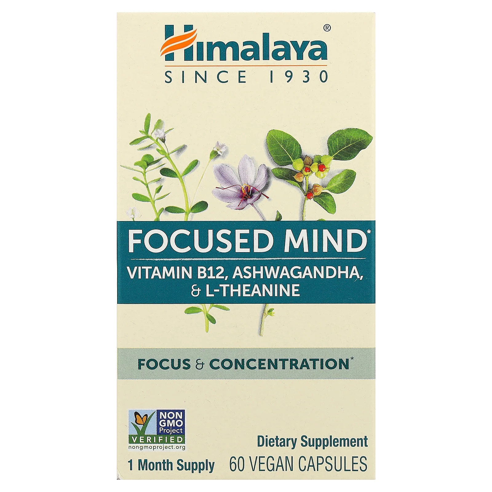 Focused Mind, 60 Vegan Capsules