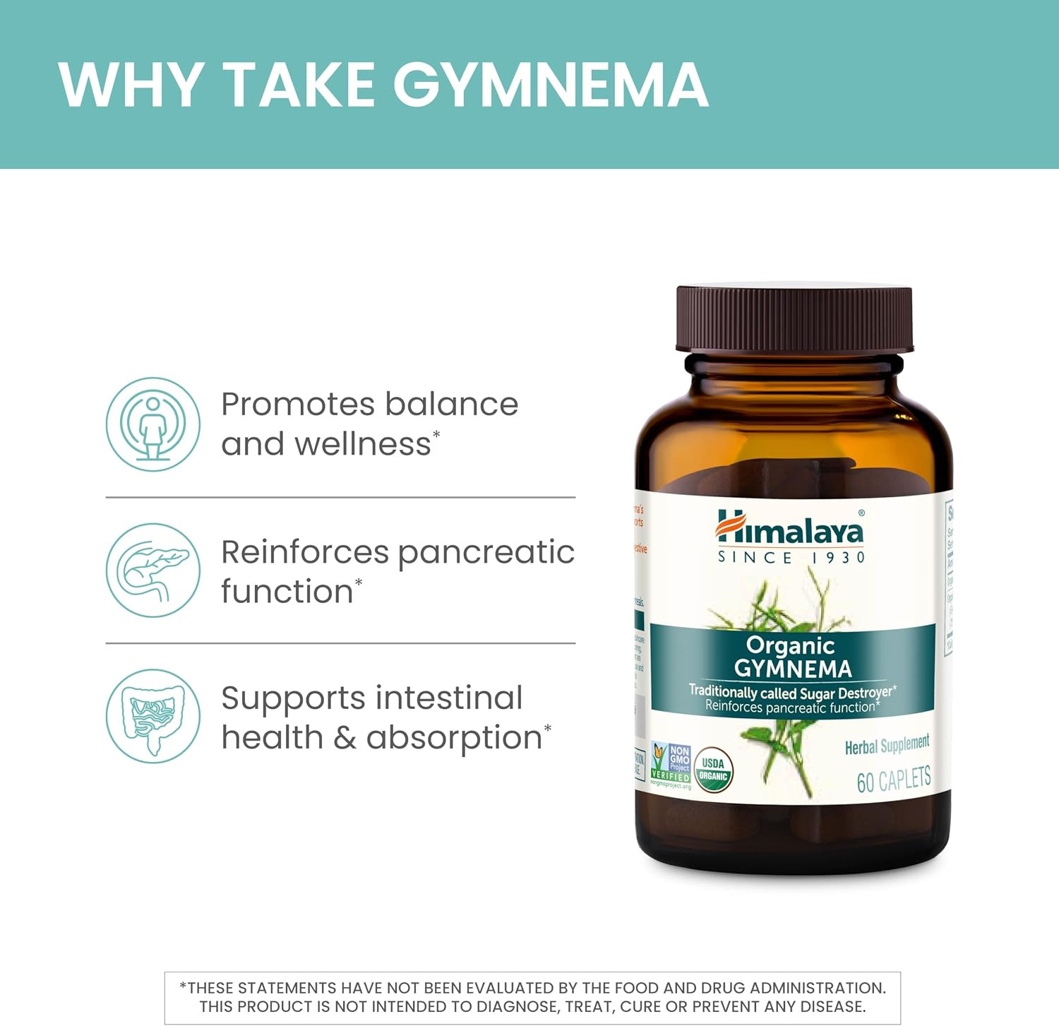 USDA Organic Gymnema Sylvestre Extract 700Mg,Gymnema Sylvestre Supplements,Herba