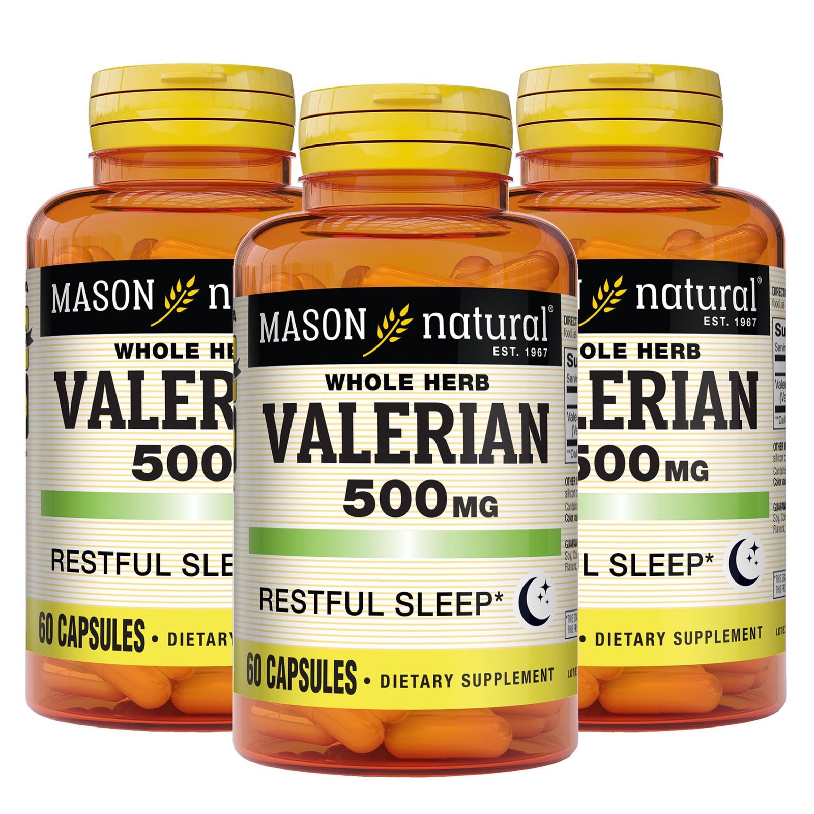 MASON NATURAL Valerian Root 500 mg, 6 Month 60 Count (Pack of 3), Light Brown