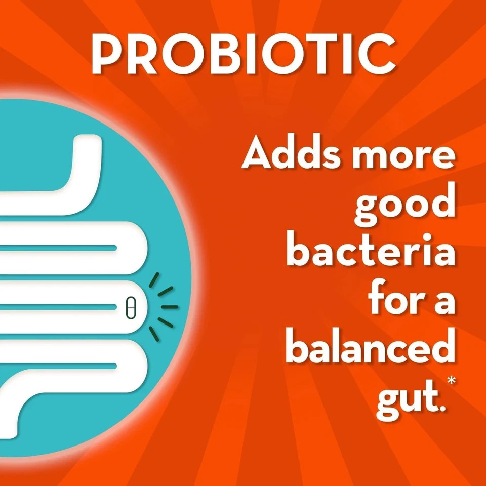 2 PACK Align Probiotic Gut Health + Stress Support 21 Capsules each Exp 04/2028