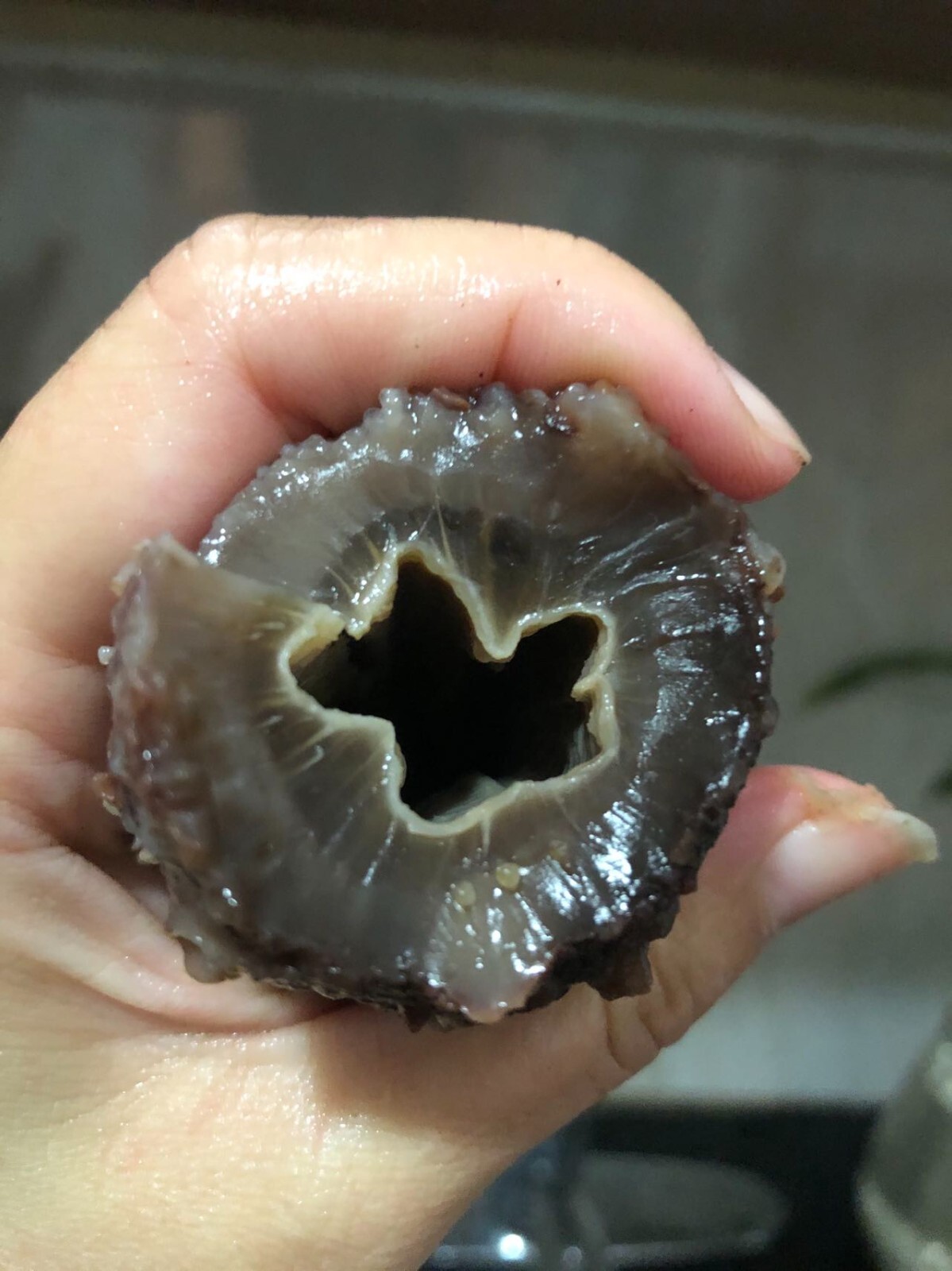 阿拉斯加红参(海参)Super 3A natural Sun Dried ALASKA Red Sea Cucumber(Size XXL)1LB/Bag