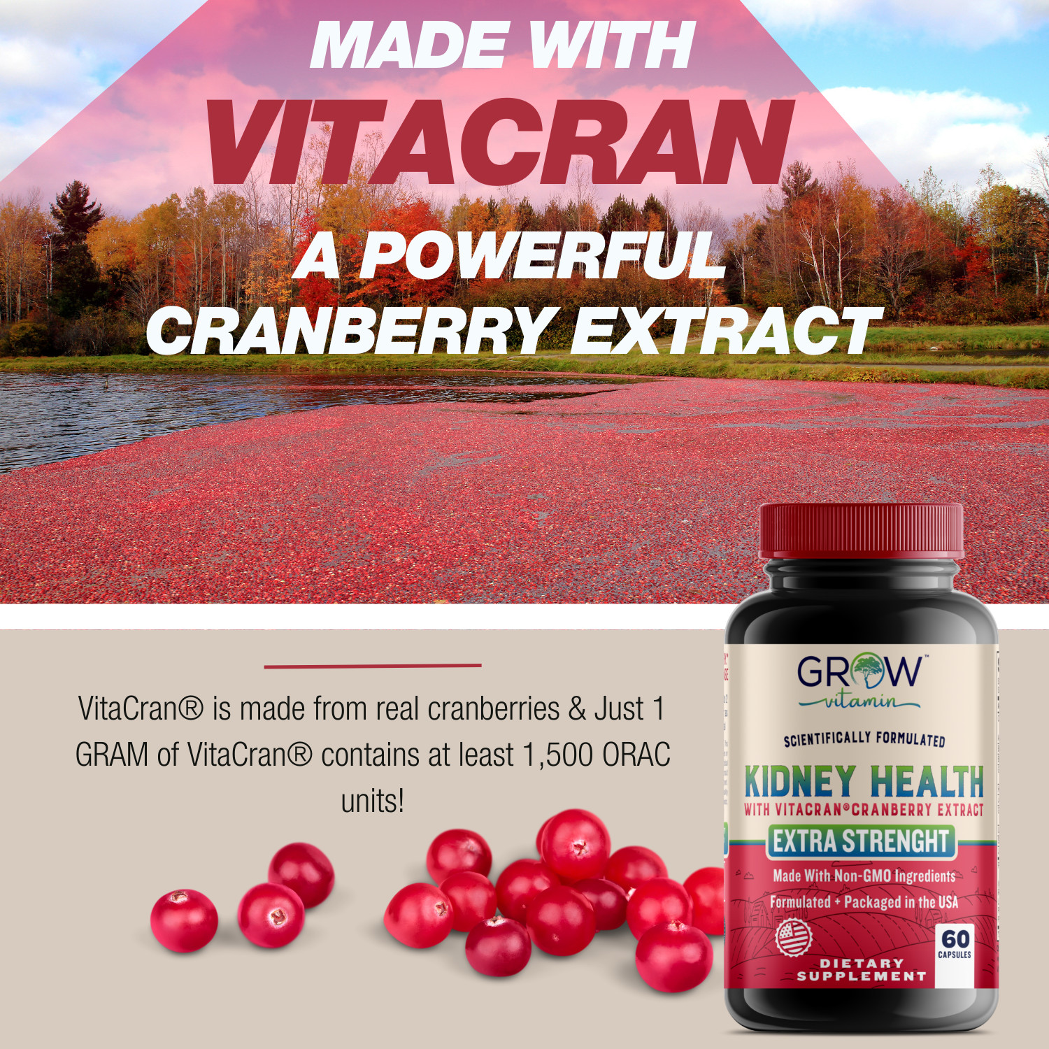 Organic KIDNEY SUPPORT – Herbal Natural Non-GMO Repair & Cleanse Supplement 2024