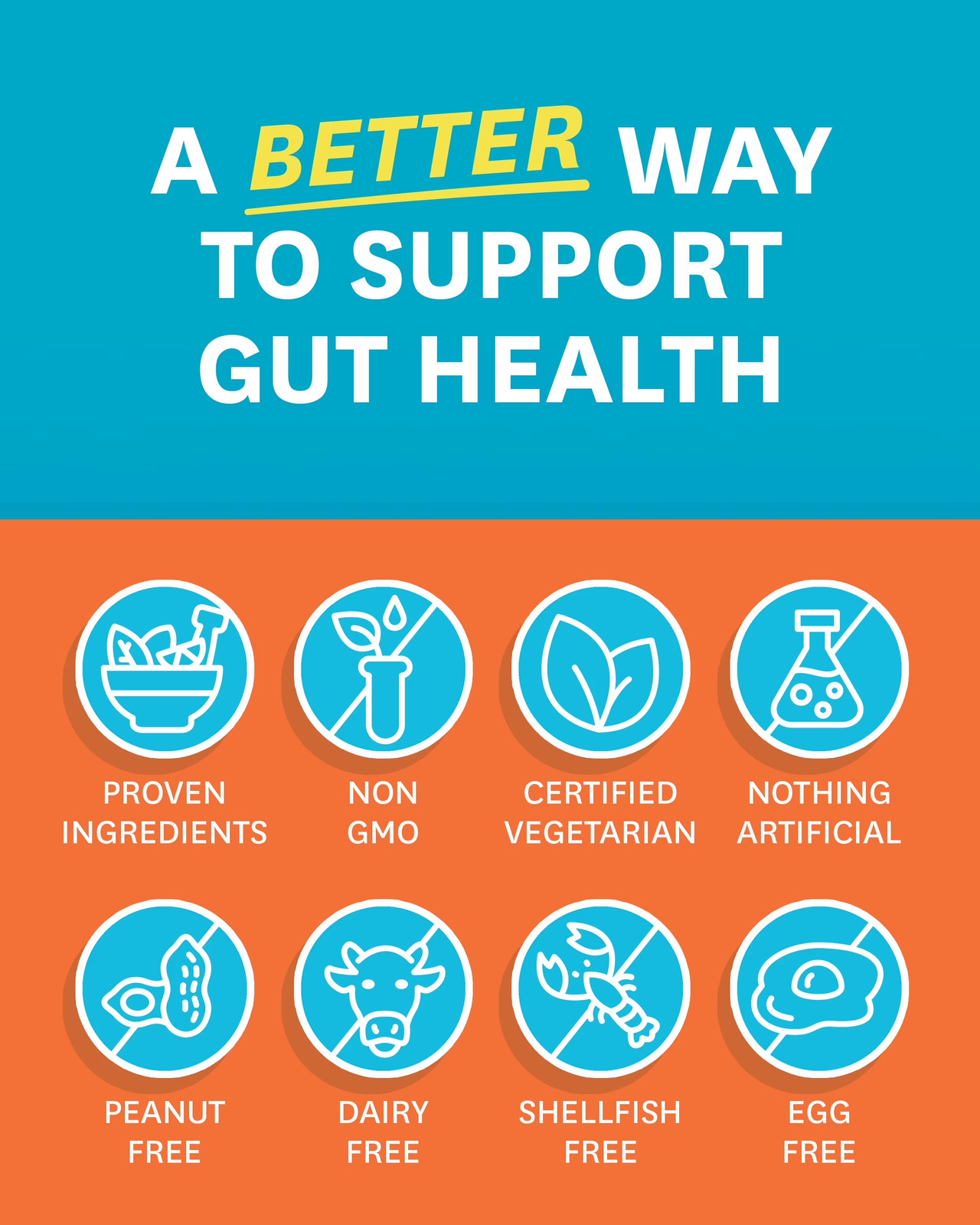 Zenwise Health NO BLØAT – Probiotics for Digestive Health with Ginger, Dandelion