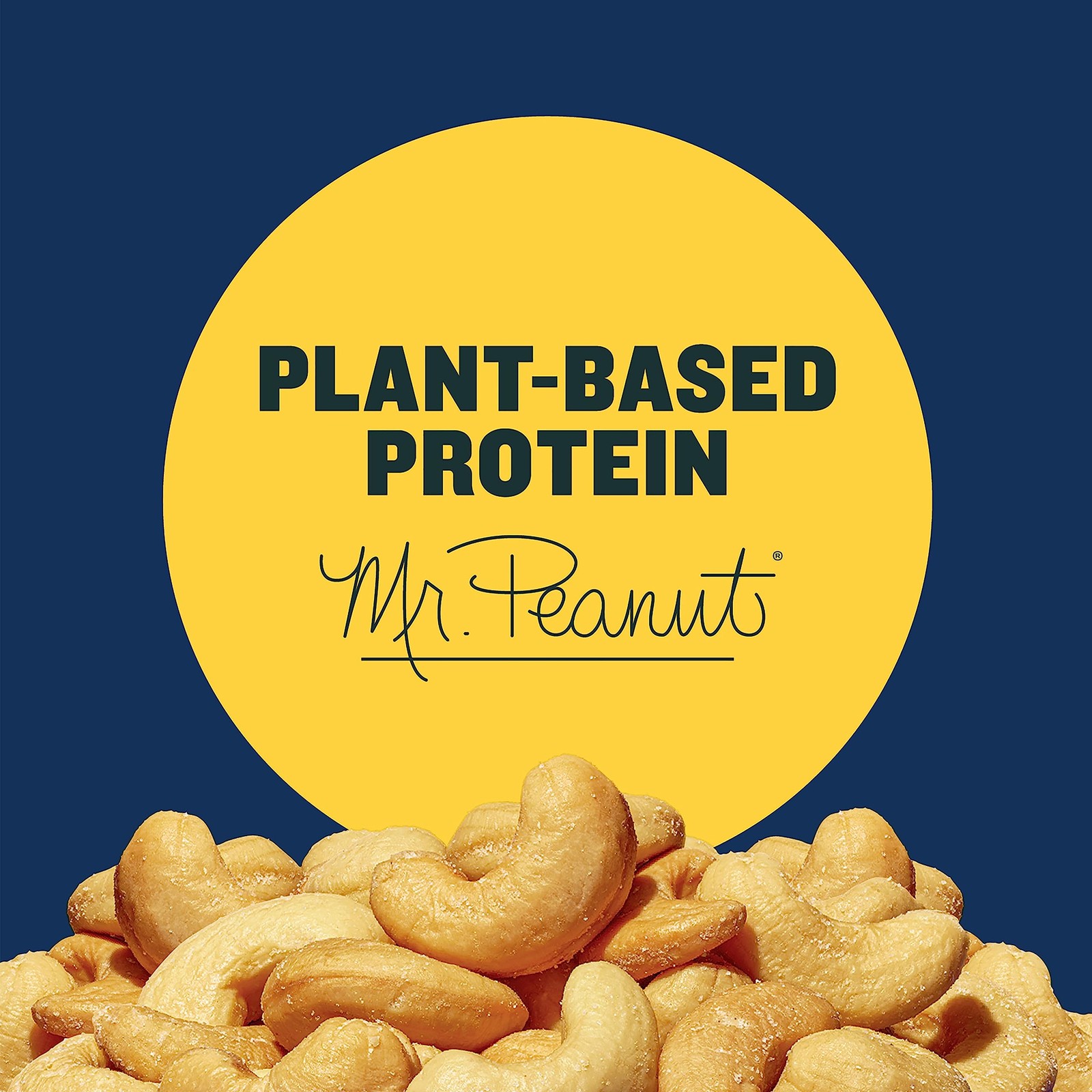 PLANTERS Deluxe Salted Whole Cashews, Party Snacks, 18.25 Ounce (Pack of 1)