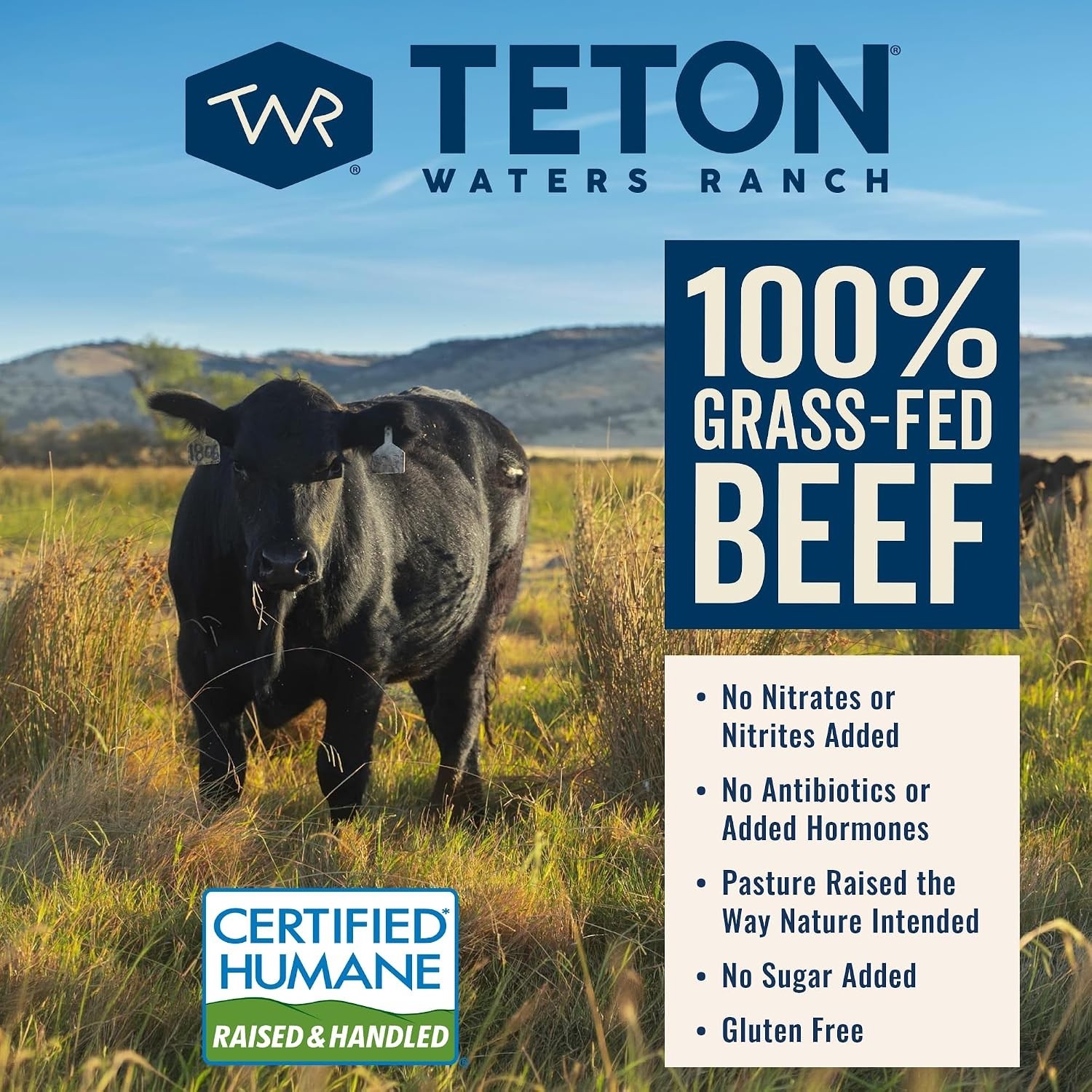 Convenient 100% Grass-Fed Beef Burgers, Frozen, Gluten Free, 4 Patties, 16 oz
