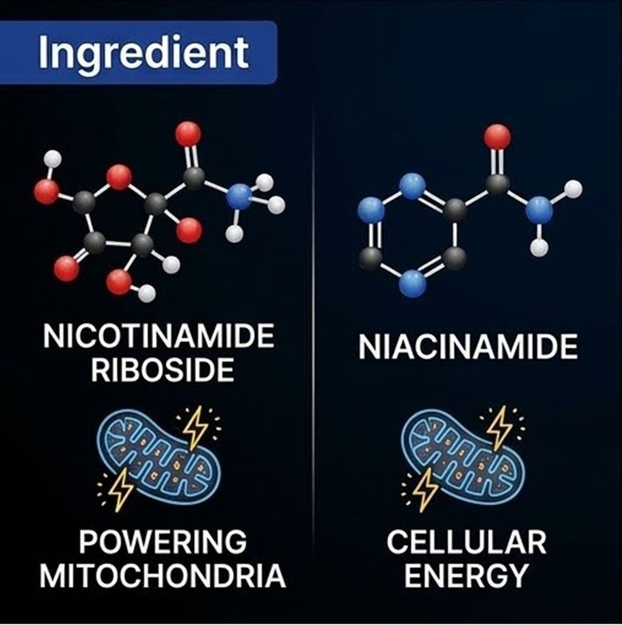 2-Pack Selerb NAD+ Booster Men’s Cellular Energy Nicotinamide Riboside 60 Caps