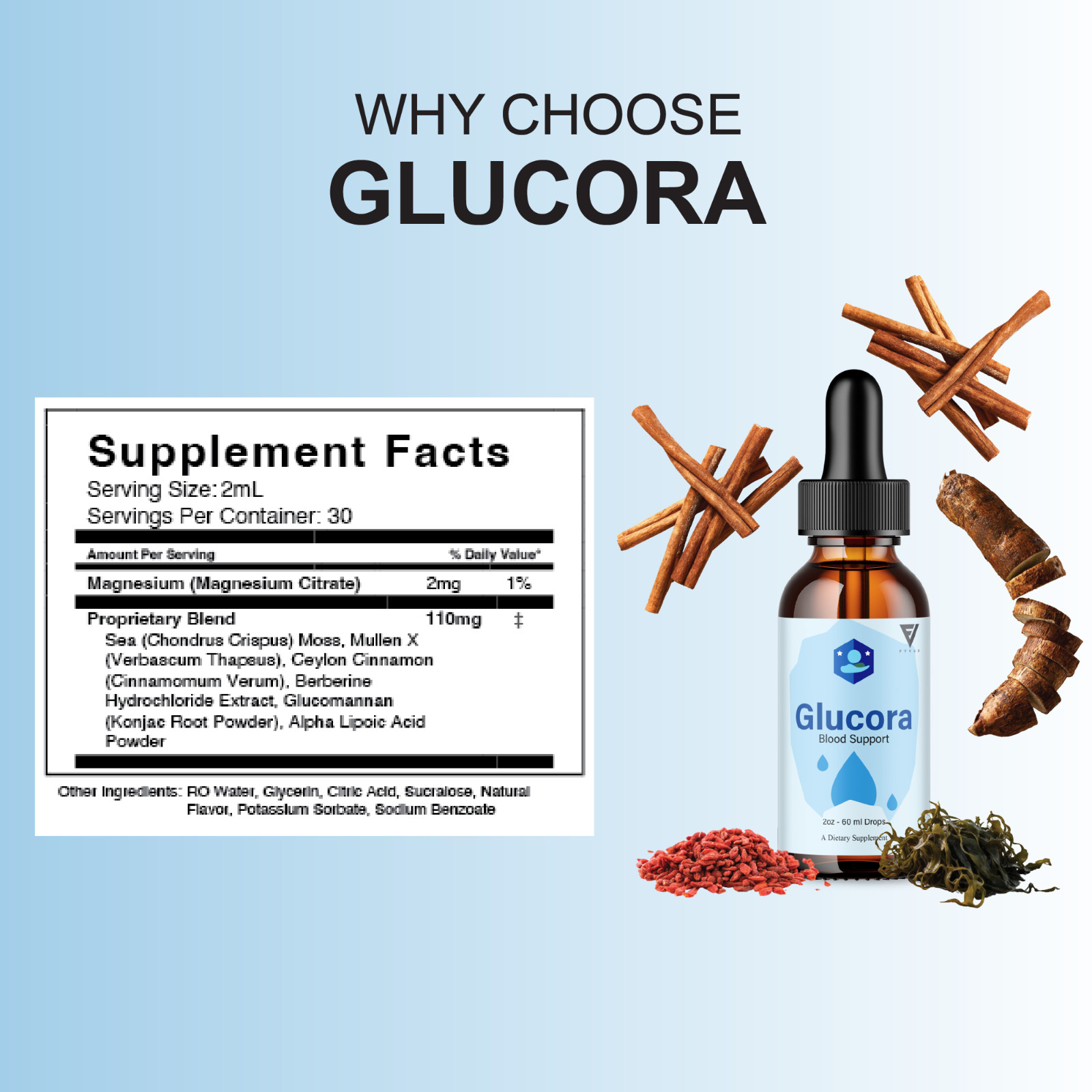 (5 Pack) Glucora Premium Blood Support Liquid Drop Supplement, Glucoras (10oz)