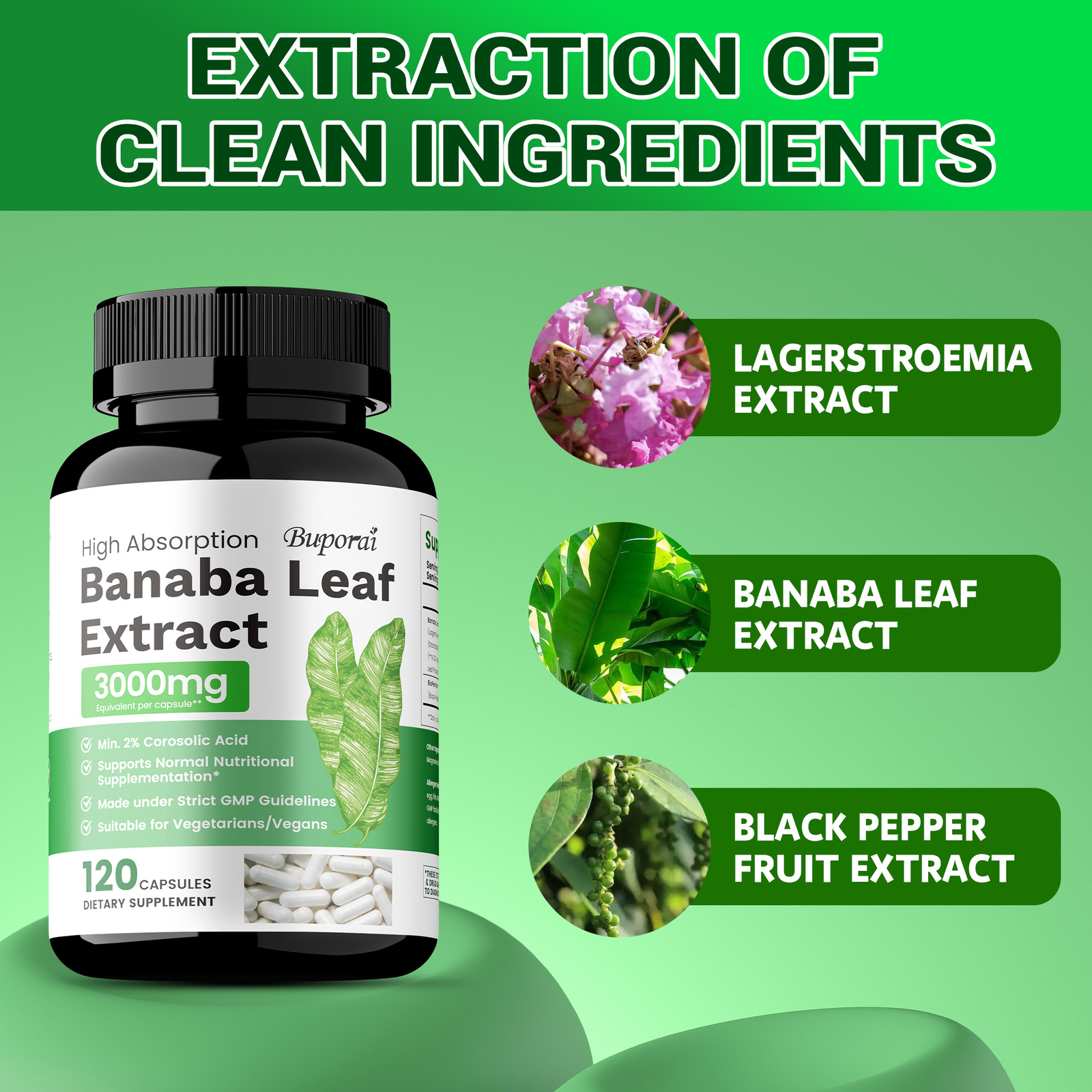 Banaba Leaf Extract 3000mg – Heart, Blood Sugar Health,Antioxidants,Weight Loss
