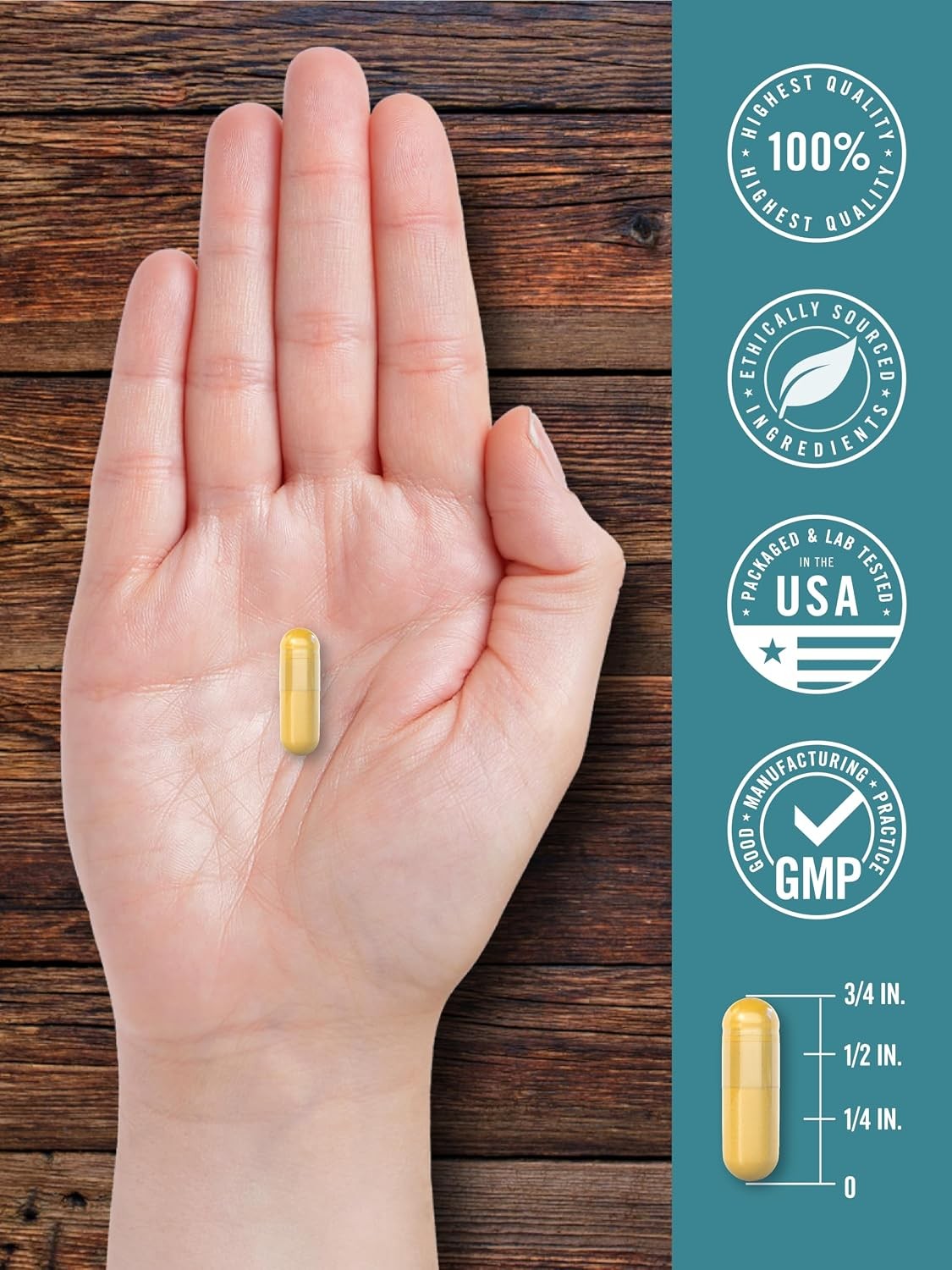Ox Bile Supplement 500Mg 60 Capsules Digestive Enzyme Non-Gmo & Gluten Free by H