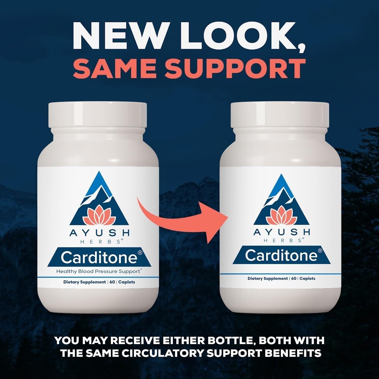 Ayush Herbs Carditone – Natural Heart Health Support Supplement – 60 Servings