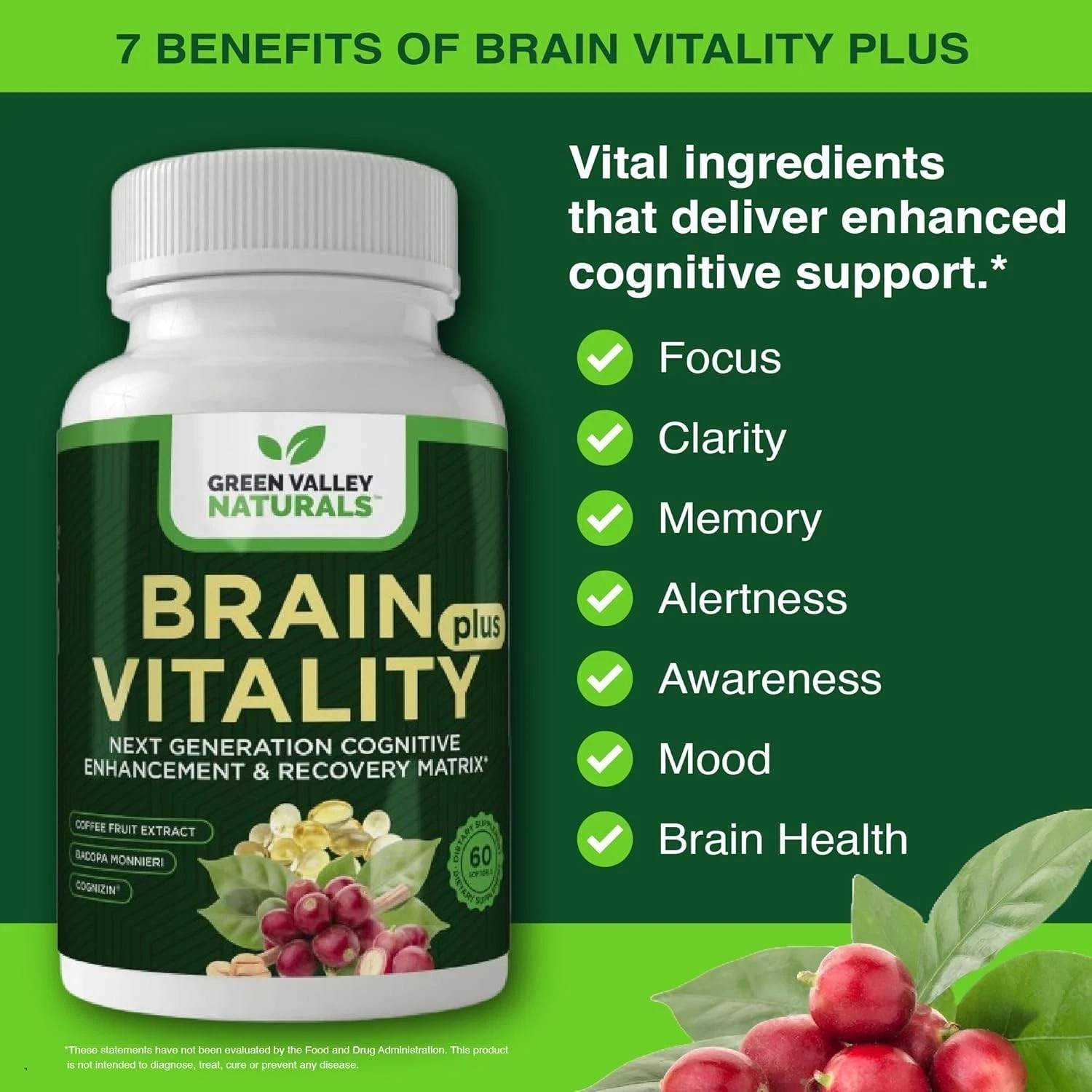 GREEN VALLEY NATURALS Brain Vitality Plus Nootropic for Memory Focus 60ct Ex6/26