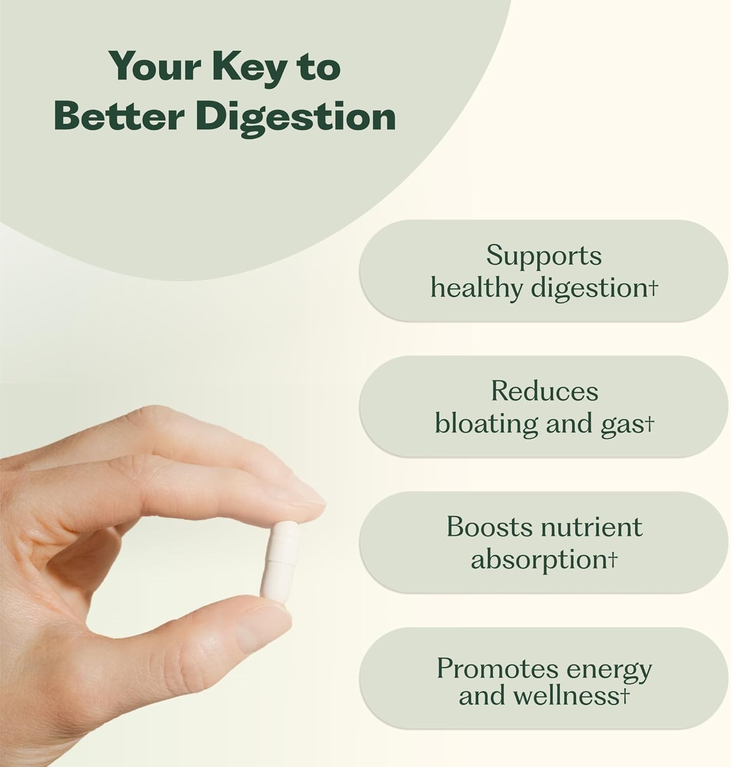 Nature M.D. Enzyme 365 Digestive Enzymes 17 Enzymes 60 Caps 30 Servings Vegan