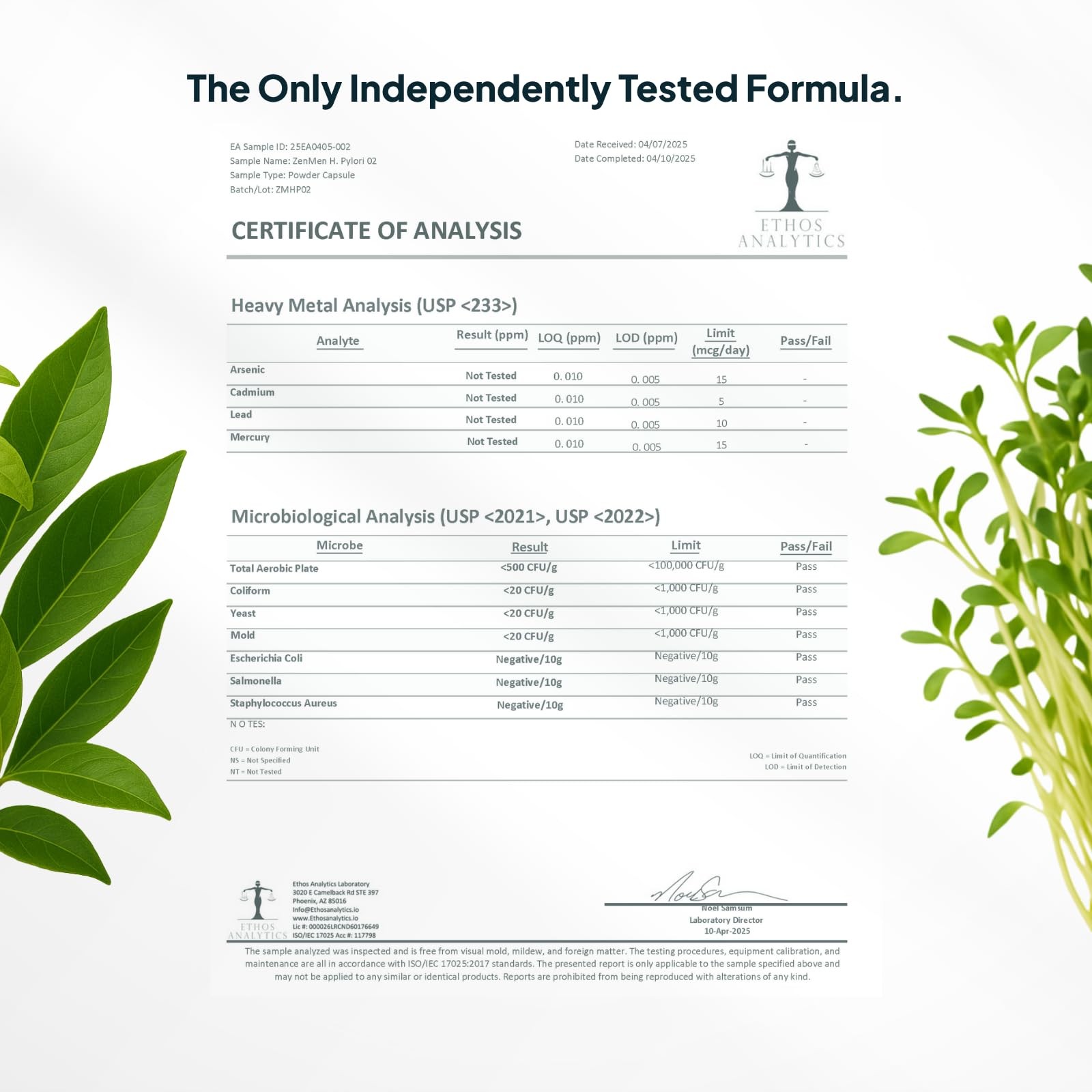 H. Pylori Support | Lactobacillus Reuteri Probiotic with Mastic Gum for Diges…