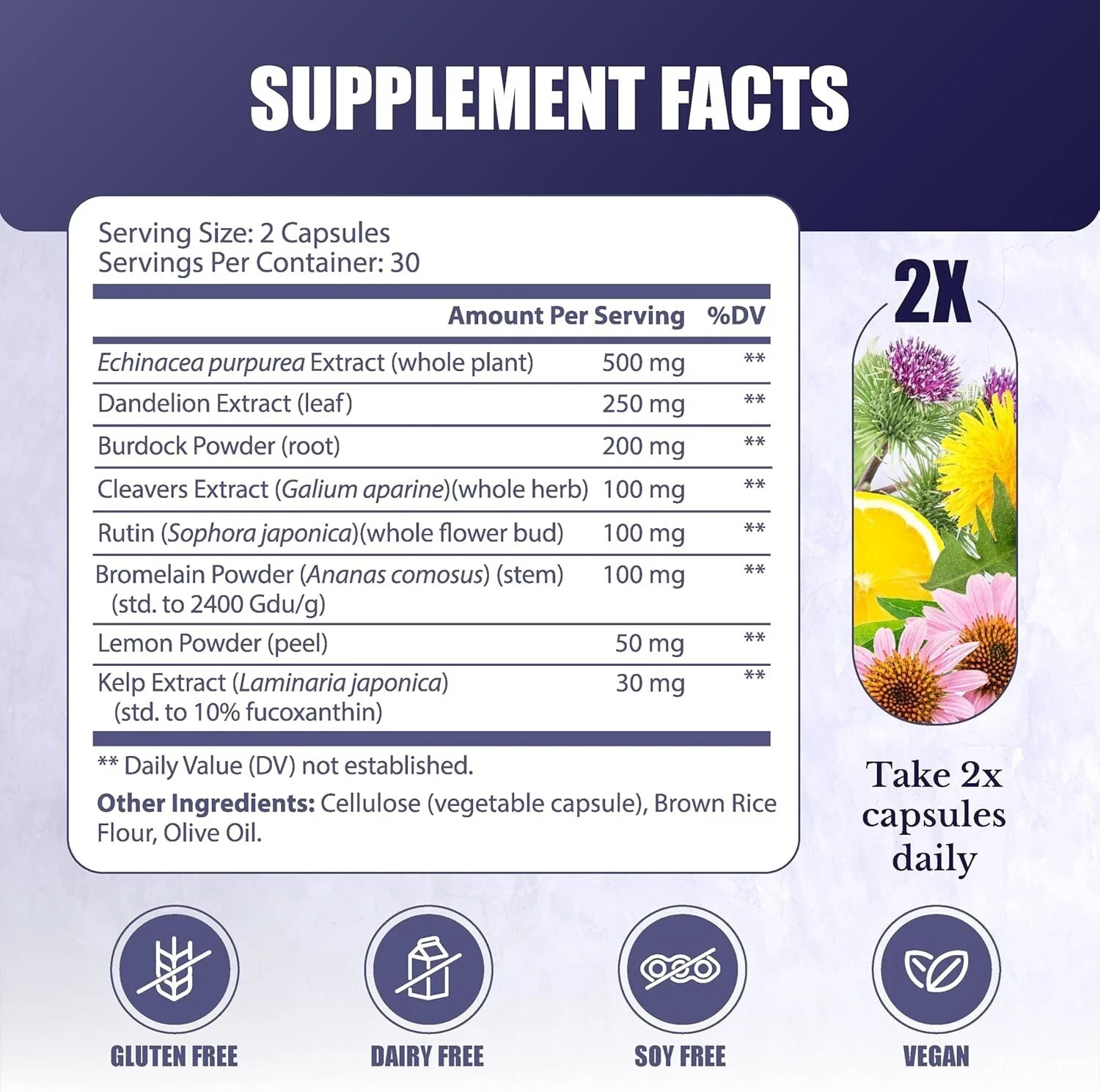 Lymph MD Support System Lymphatic 9 Botanical Herbs Supplement 60 Capsules