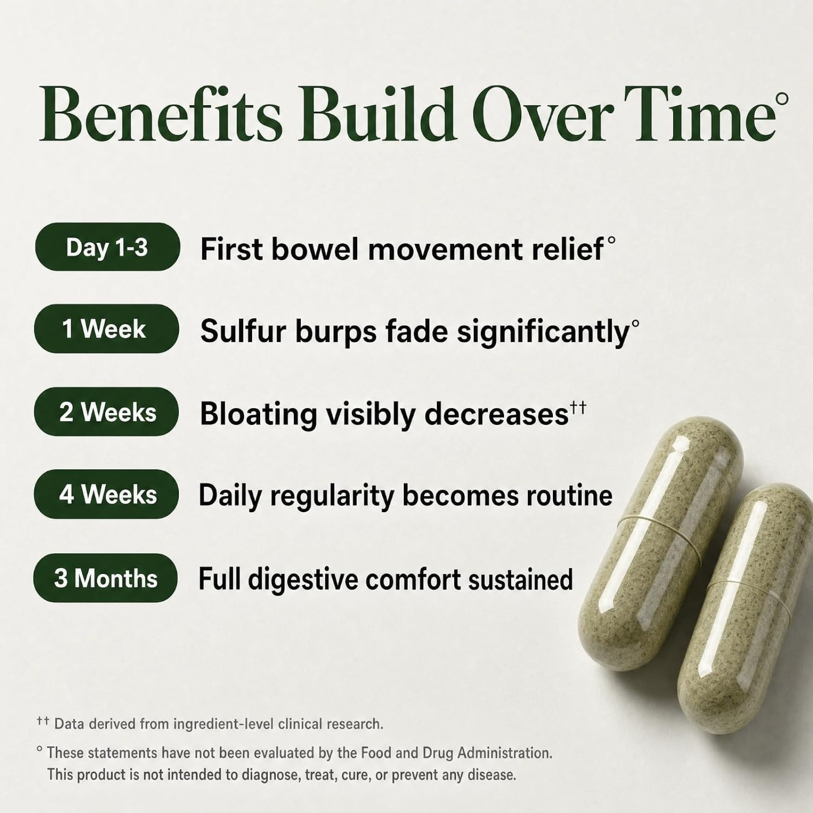 Advanced Digestive Support Probiotic Magnesium Ginger Comfort Supplement 60 Caps