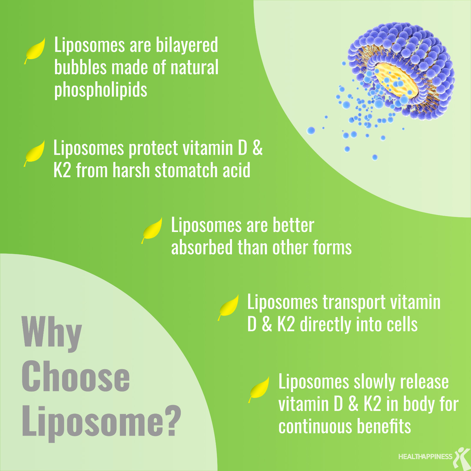Liposomal Vitamin D3 5000 IU K2 MK7 100 mcg, Vit D and K Supplement 365 softgels