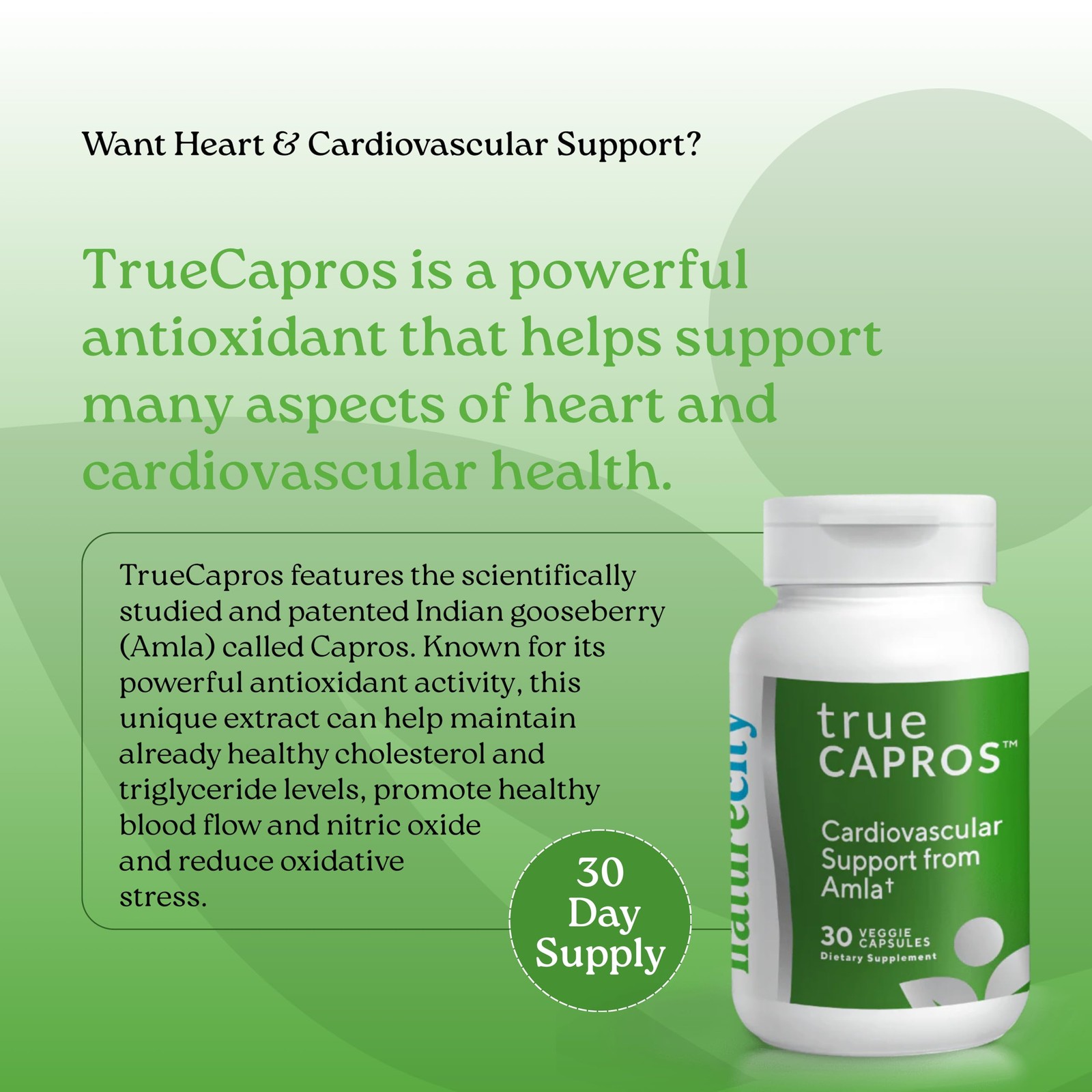 NatureCity True-Capros Amla Fruit Extract Supplement 30 Count (Pack of 1)