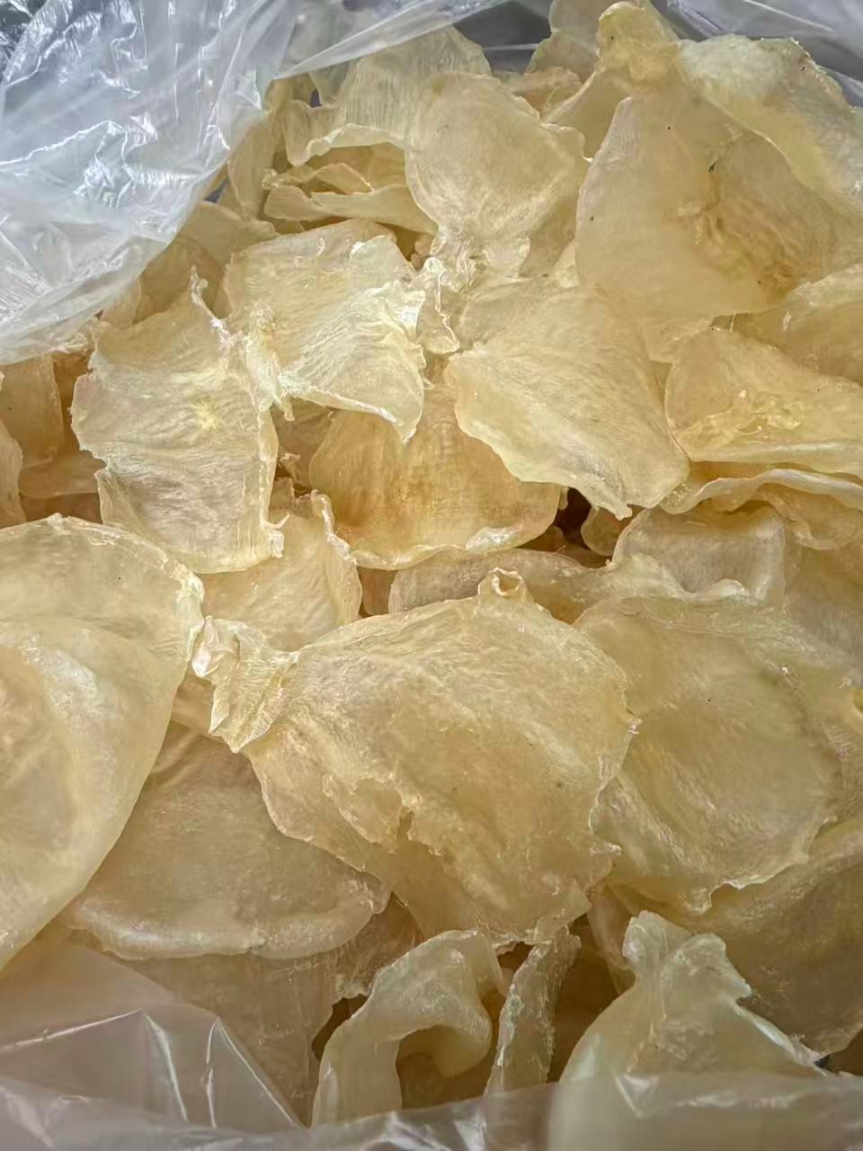 南美洲野生特大7头蝴蝶胶1LB/Bag XL Size Dried South American wild caught fish maw-U.S Seller