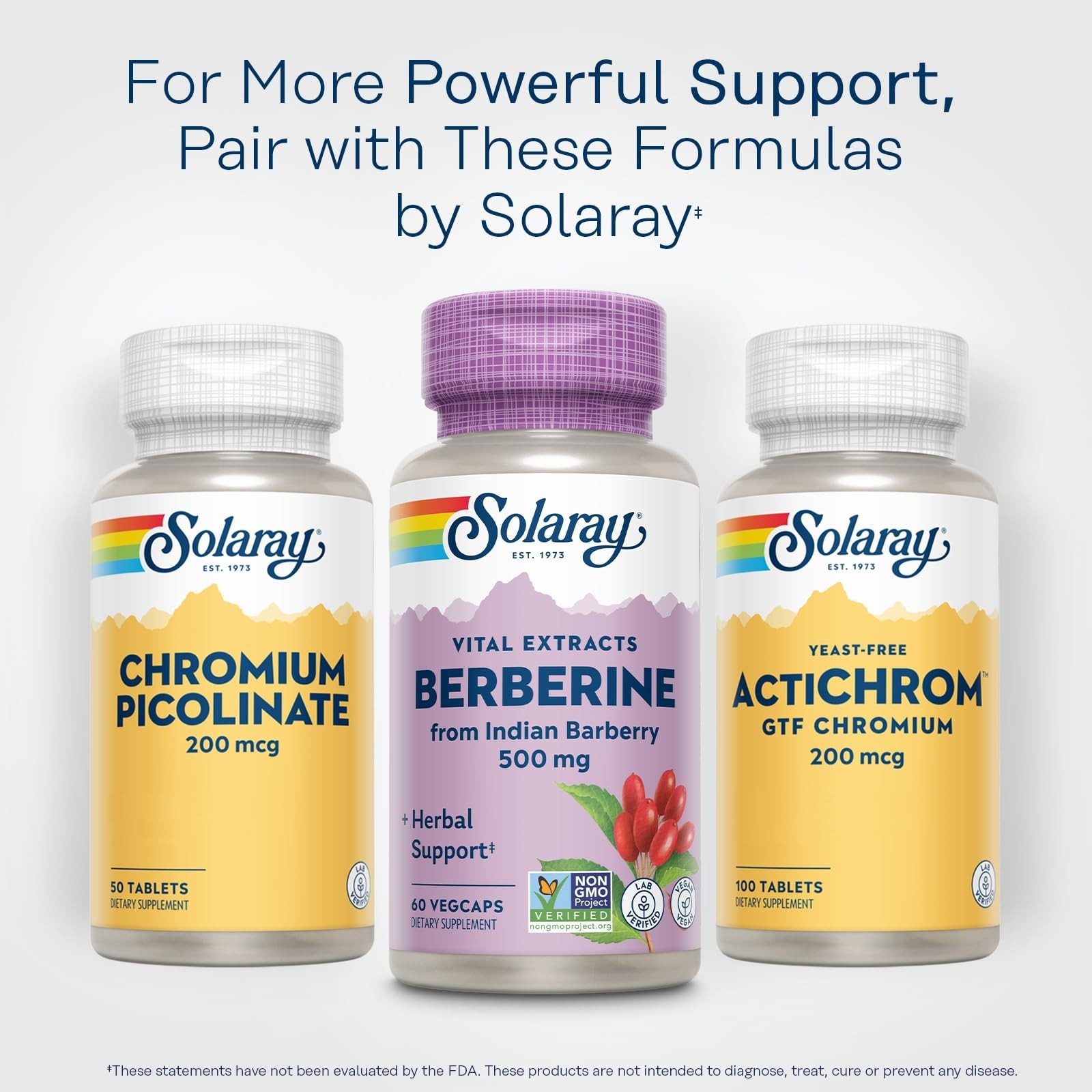 Berberine Extract 500mg – 60 VegCaps for Metabolism & Ketone Support, AMPK Activ
