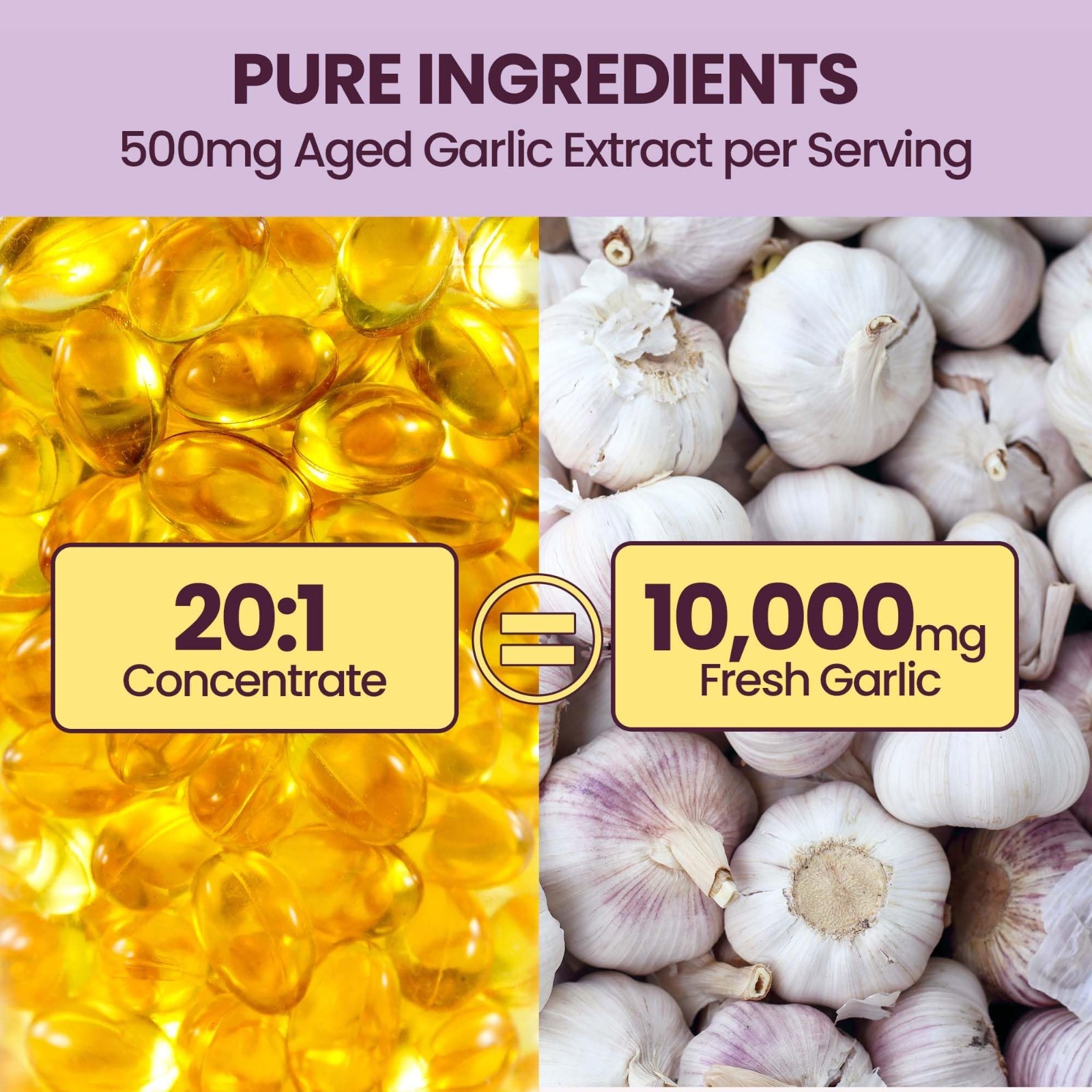 Aged Garlic Extract Softgels 10000mg | 300 Count | High-Potency Antioxidant & Co