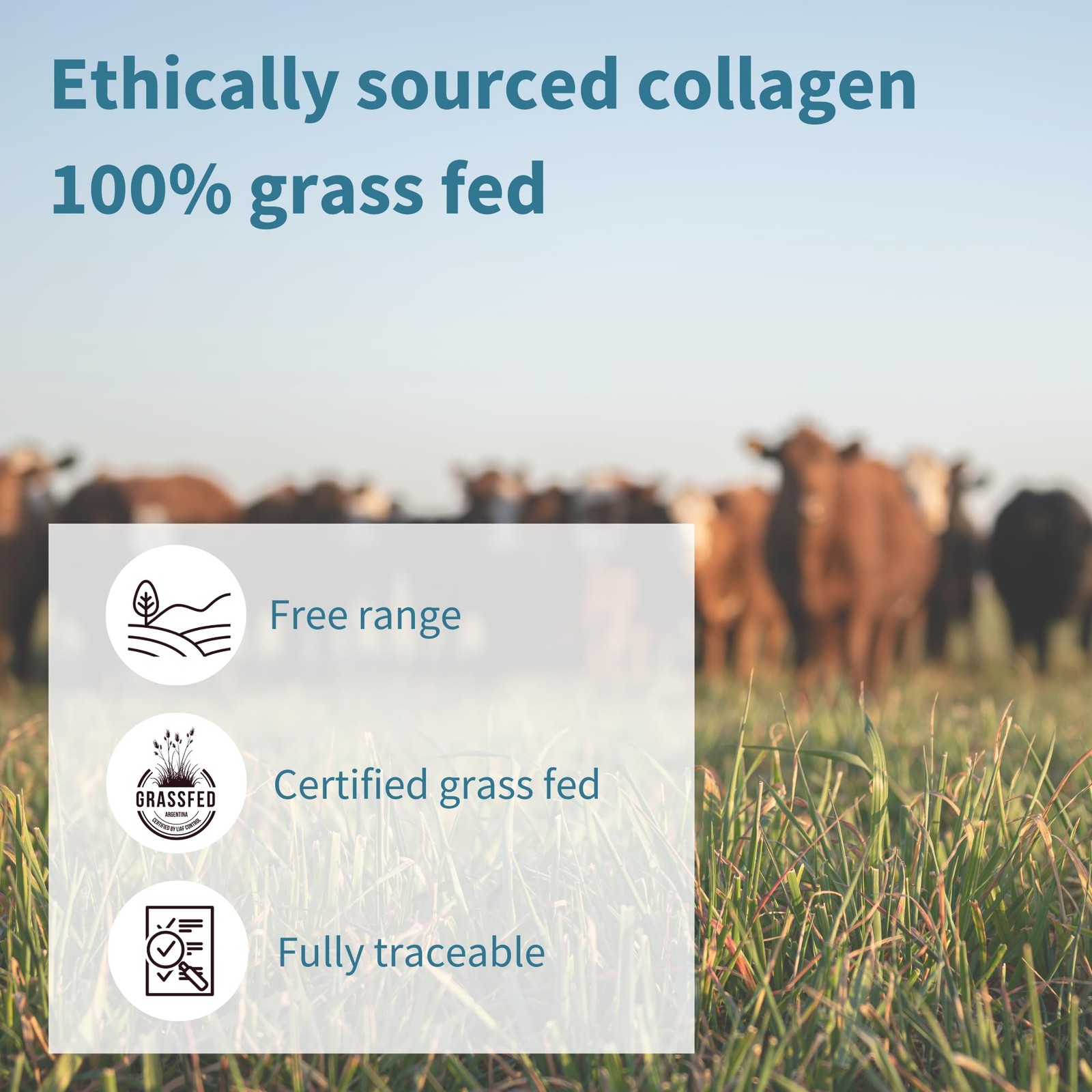 Igennus Free Range Grass Fed Hydrolyzed Bovine Collagen Peptides, Neutral Tas…