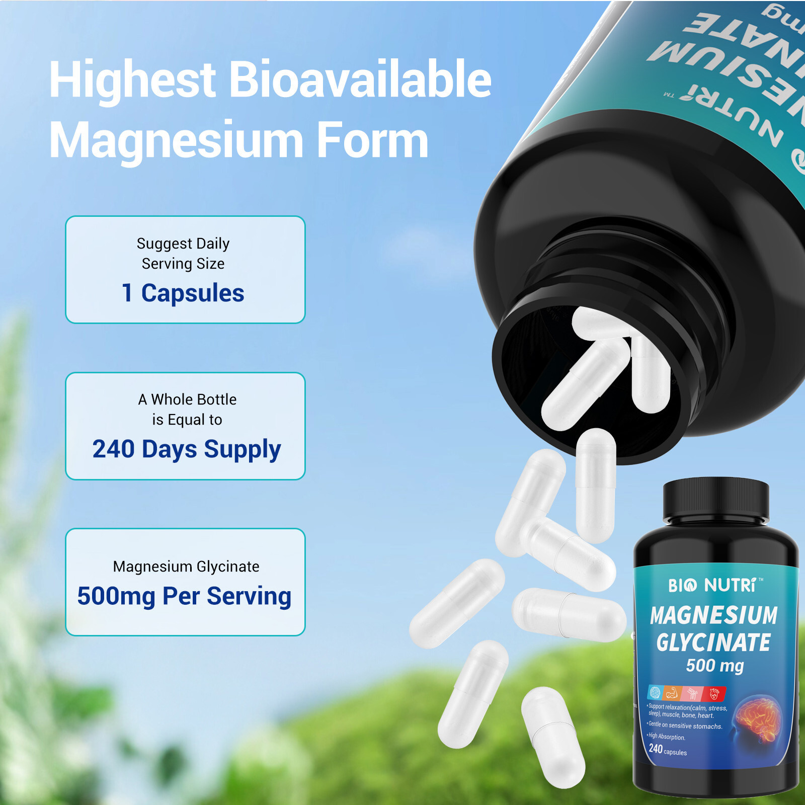 Magnesium Glycinate 500mg 240 Capsules For Sleep Stress Relief Support Bone Lot