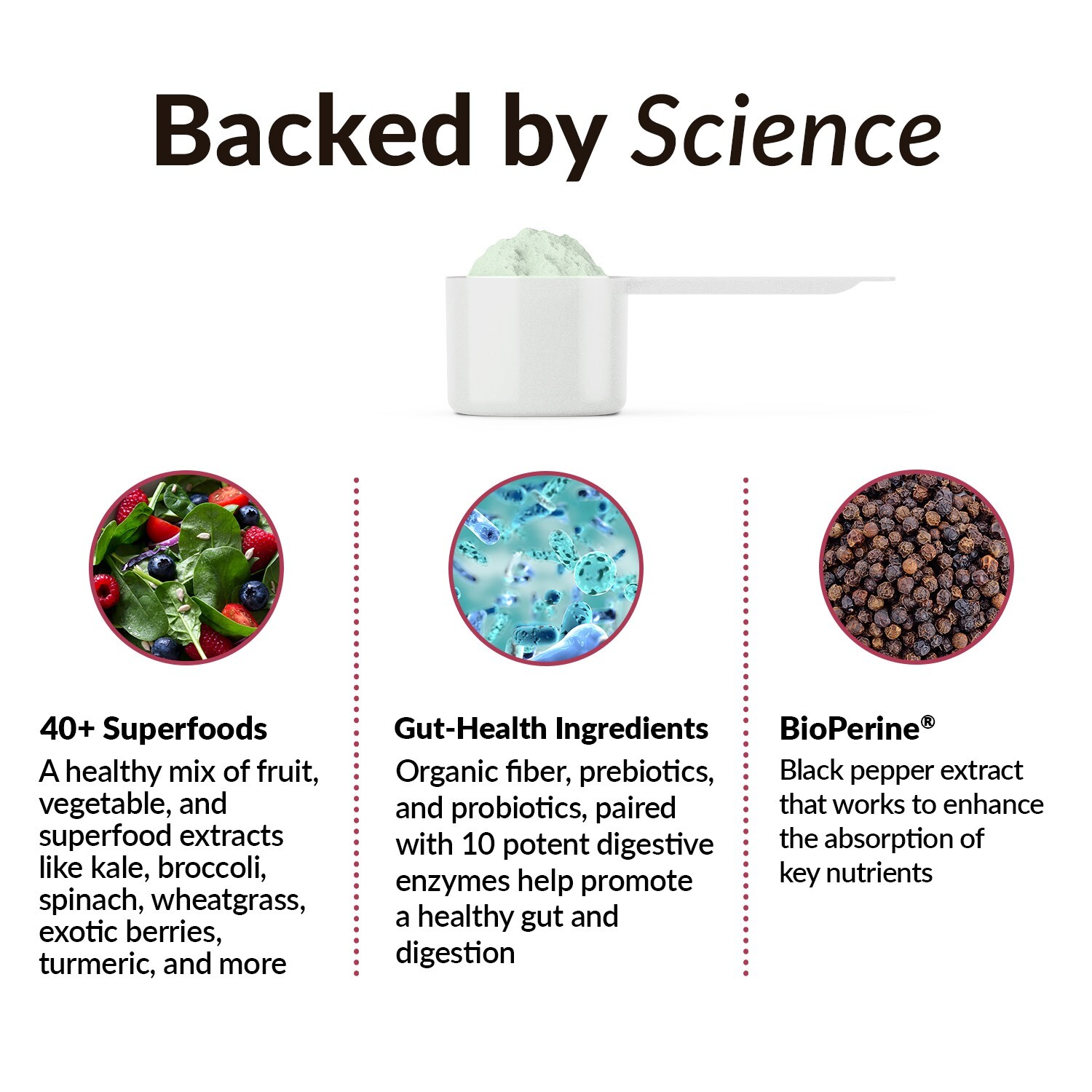 Force Factor Smarter Greens Daily Wellness Powder, Greens Superfood Powder