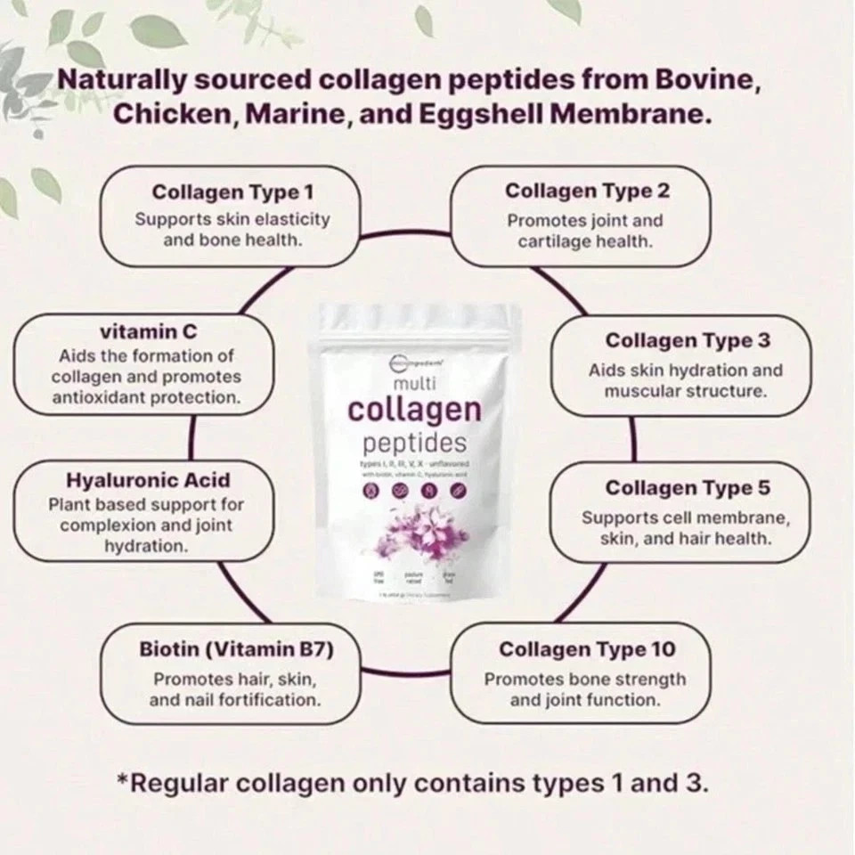 Micro Ingredients Multi Collagen Peptides I/II/III/V/X Unflavored 1LB