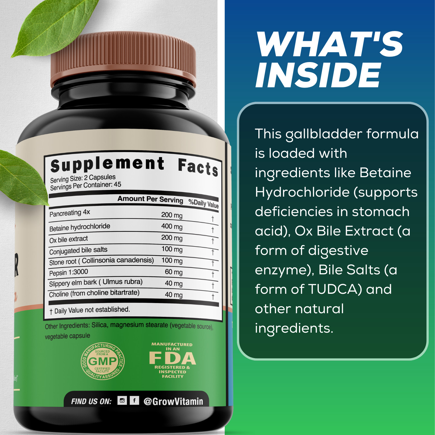 Best DIGESTIVE ENZYMES SUPPLEMENT Purified Enzyme Ox BILE SALTS Gallbladder 90Ct