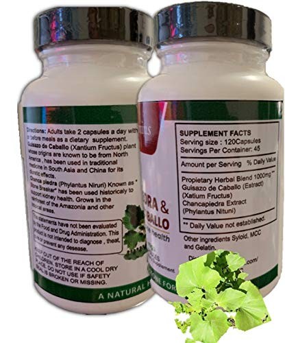 Guisazo De Caballo and Chancapiedra Organic Vitamins 1 Count (Pack of 120)