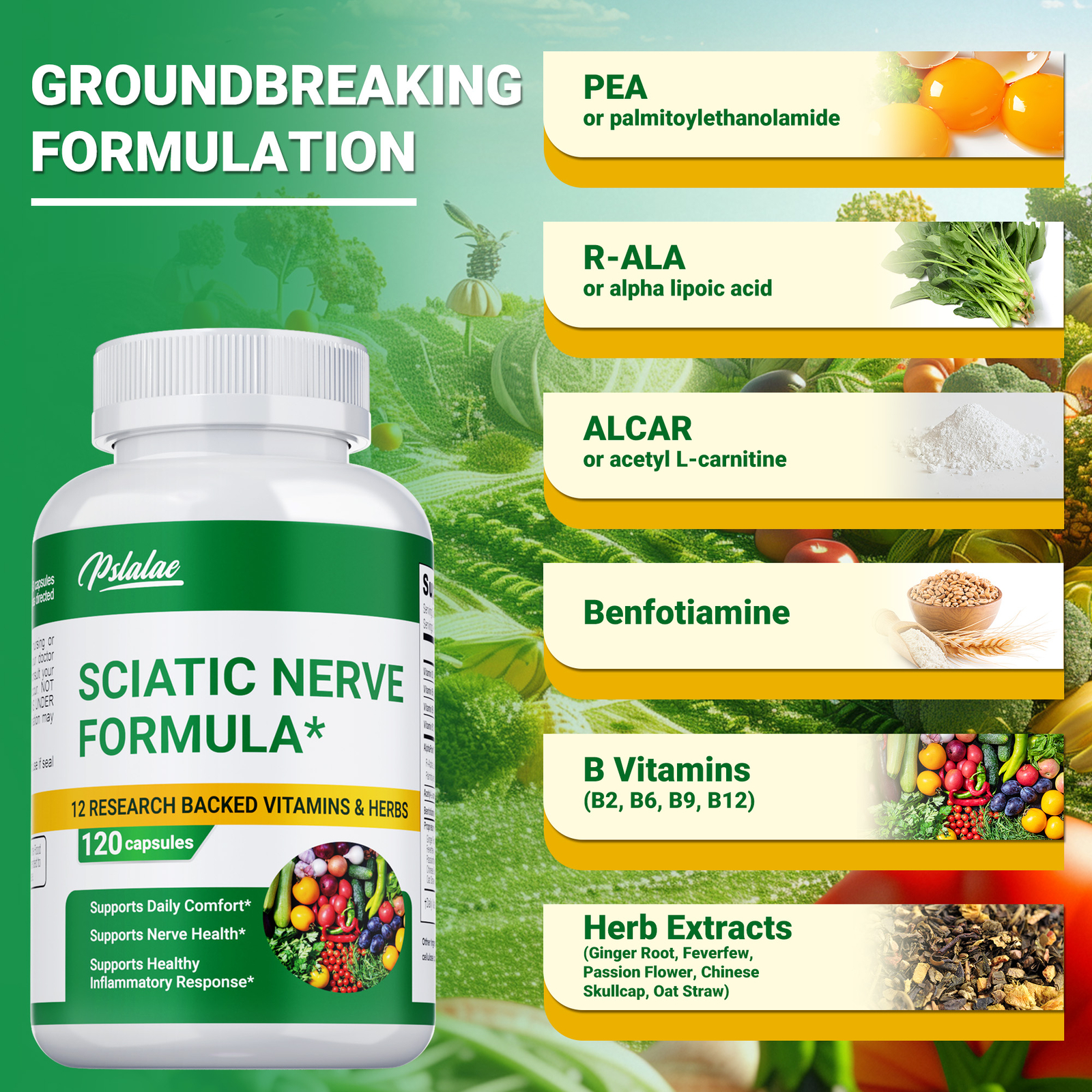 Sciatic Nerve Formula -for Sciatic Nerve Support, Pain Relief, Anti-inflammatory