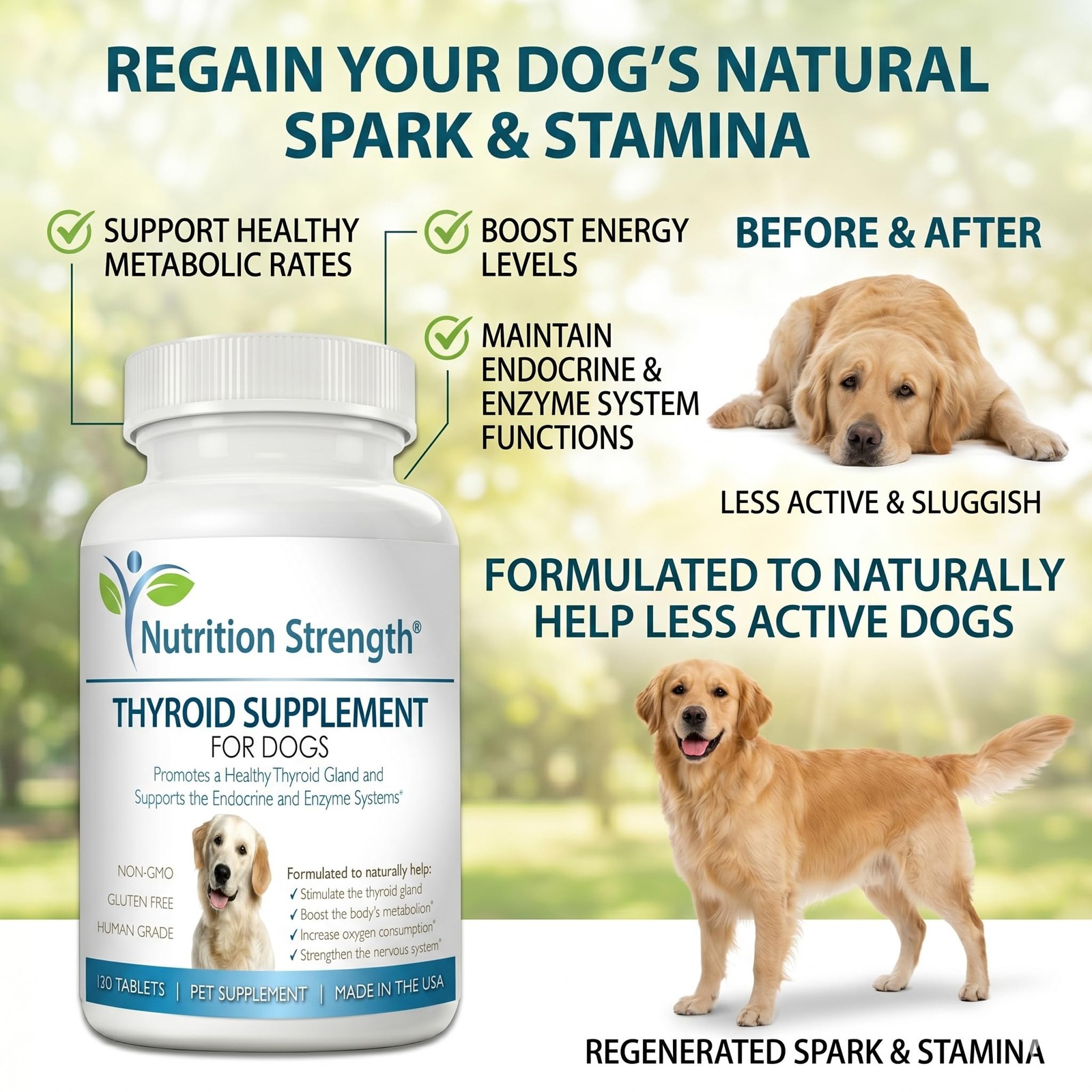 Thyroid Supplement for Dogs, Support for Hypothyroidism in Dogs with Organic …