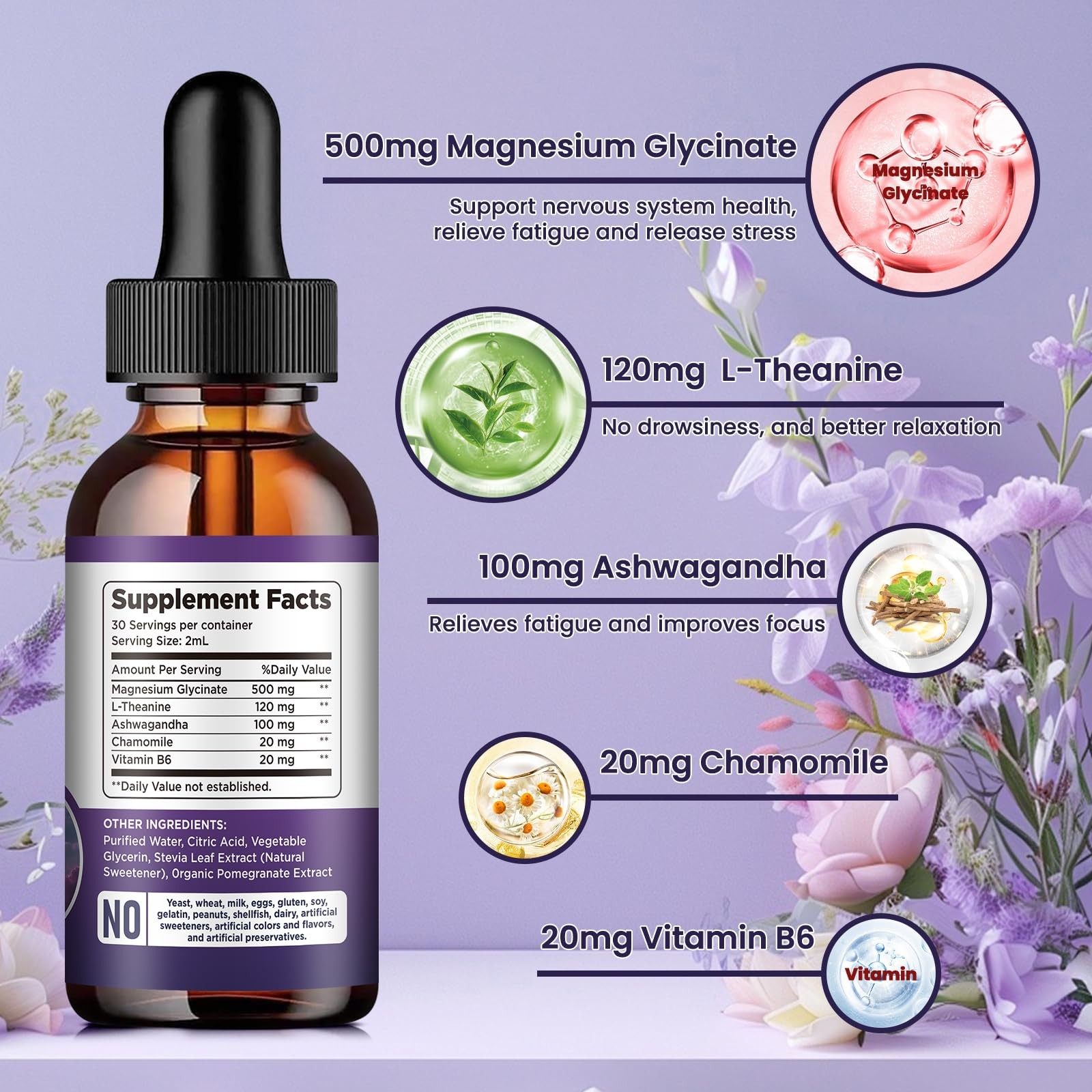 Magnesium Glycinate Liquid Drops 500mg, with Vitamin B6, 2 Fl Oz (Pack of 1)