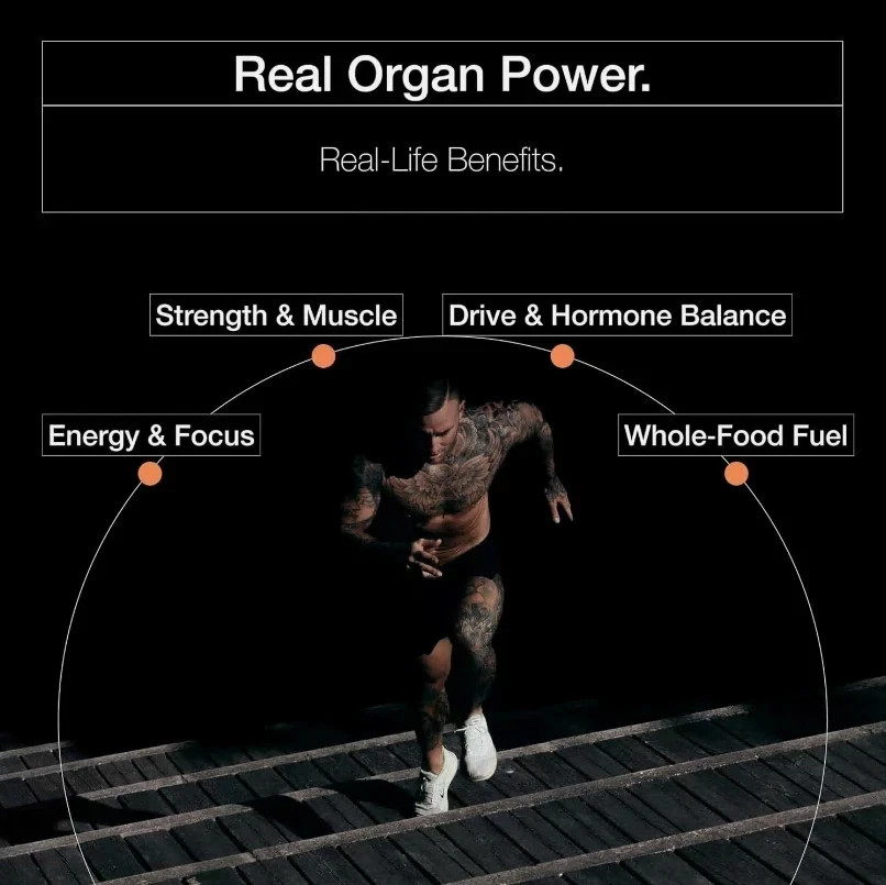 Vital Bull Beef Organ Supplement for Men – Grass Fed Organs with Heart US