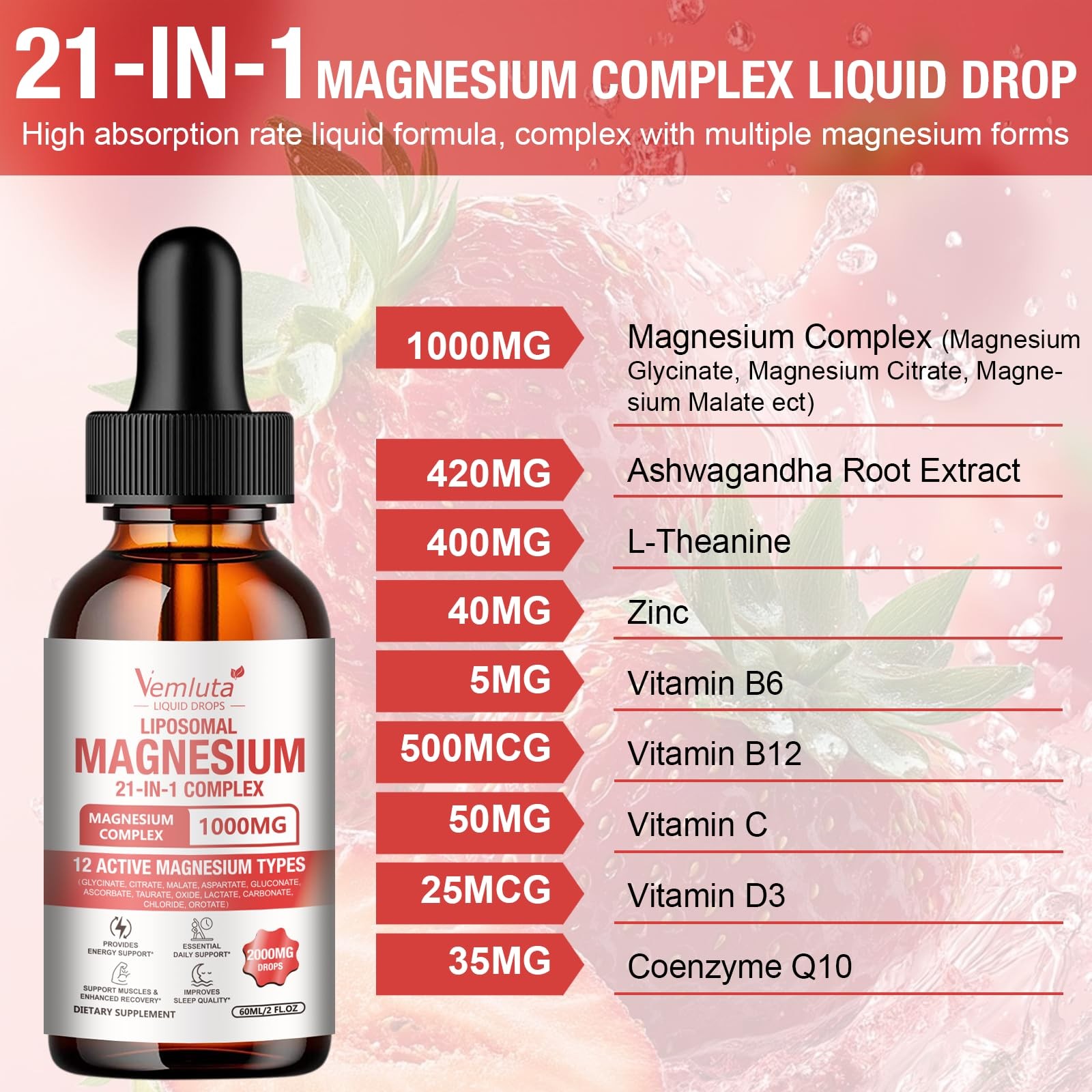 2 Packs 21-in-1 Liposomal 12 Active Magnesium Complex 2000MG+ Liquid Drops – …