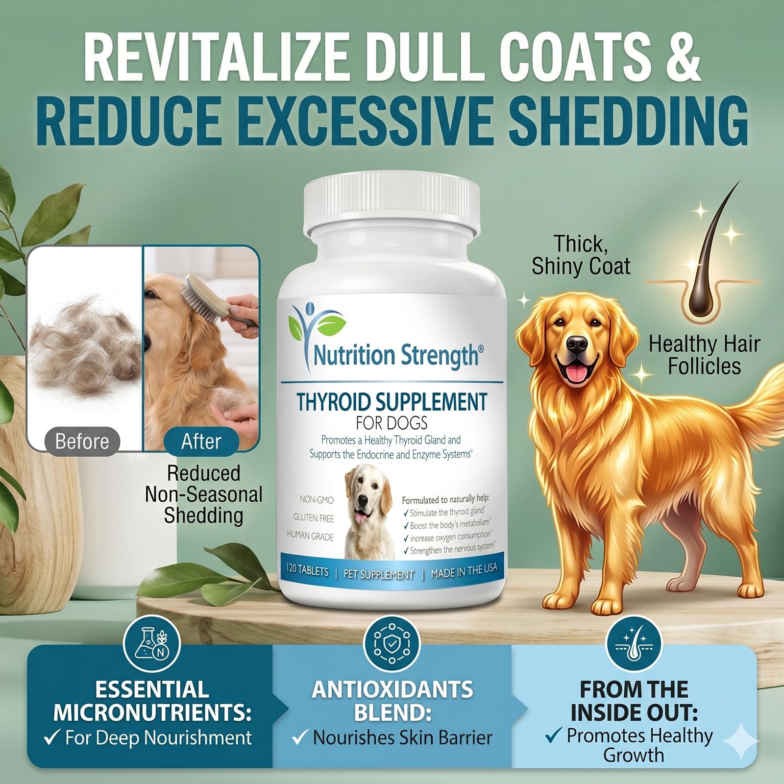 Thyroid Supplement for Dogs, Support for Hypothyroidism in Dogs with Organic …