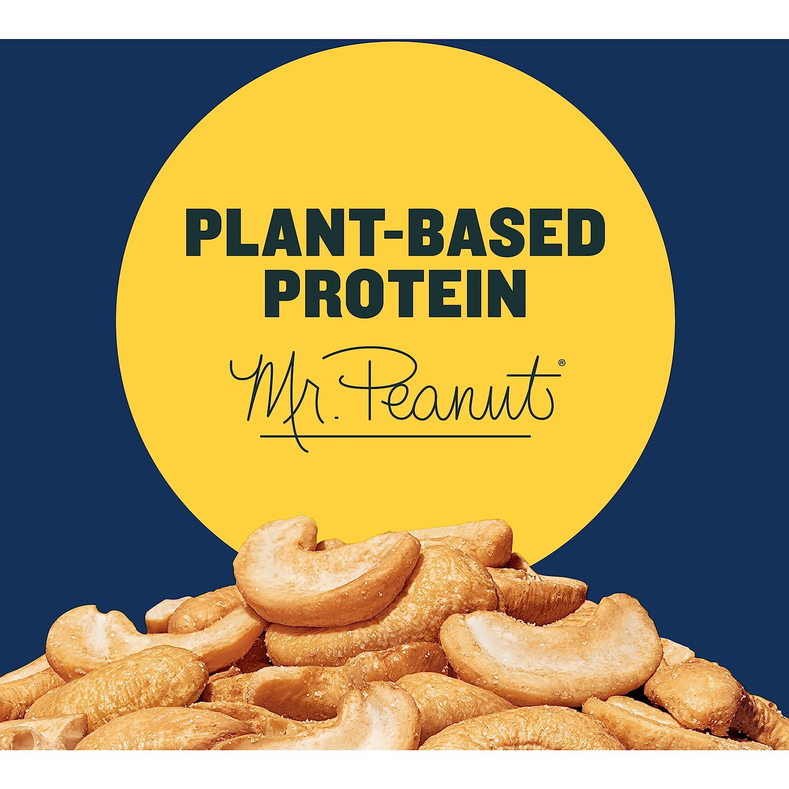 PLANTERS Salted Cashew Halves & Pieces, Party Snacks, 8 Ounce (Pack of 1)