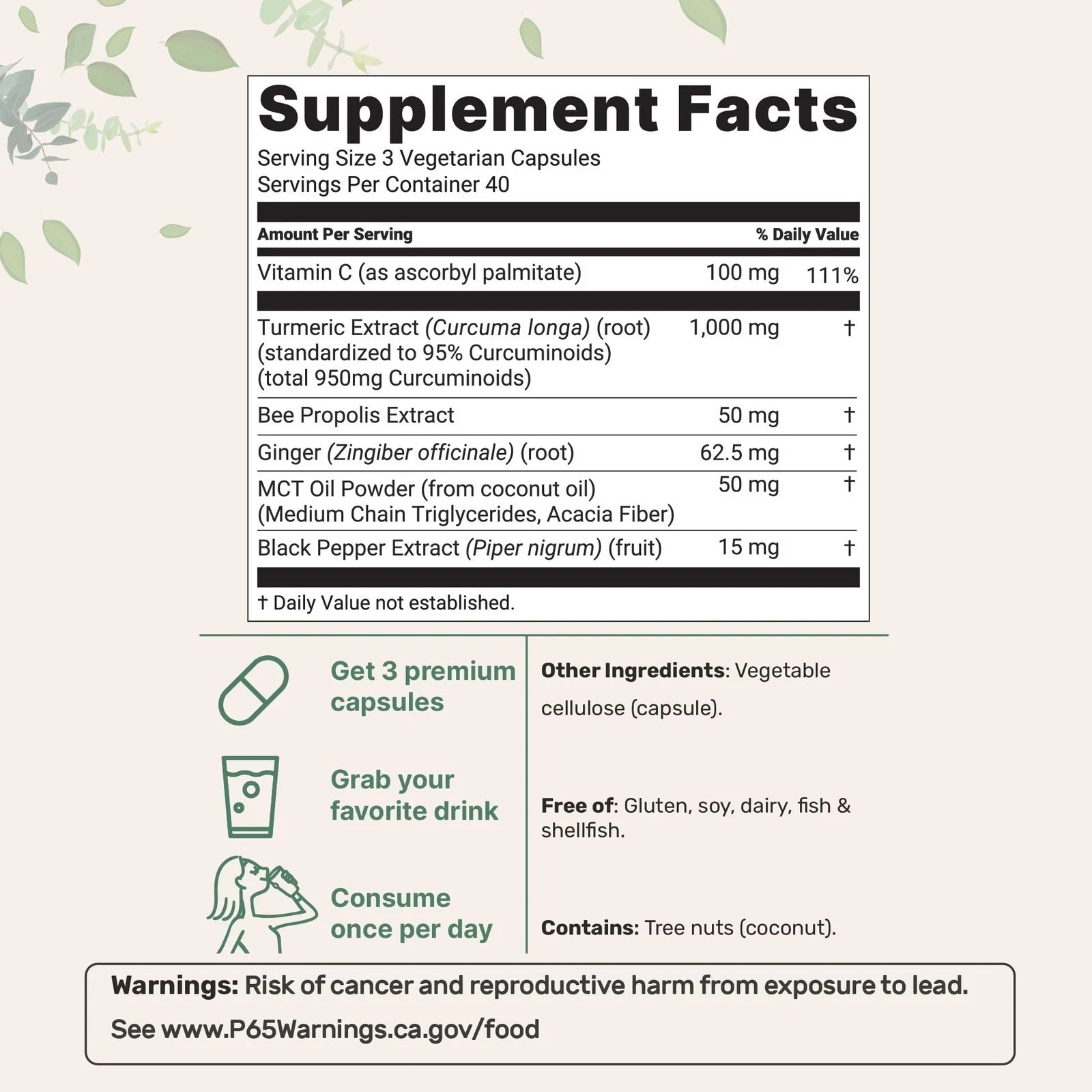 Micro Ingredients Turmeric Curcumin 95, 1000mg, 120 Vegetarian Capsules
