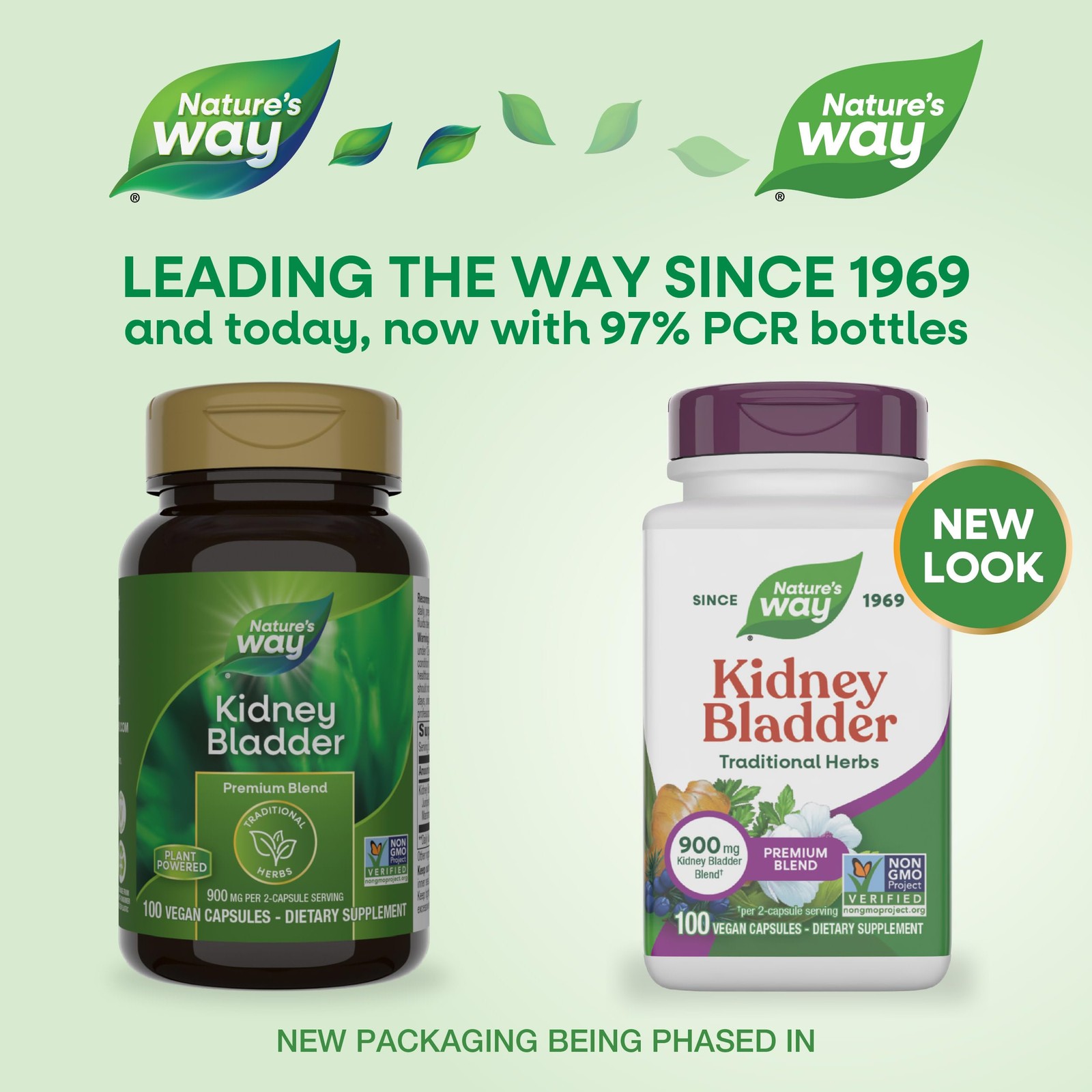Nature’s Way Kidney Bladder Premium Blend, 900 mg per 100 Count (Pack of 1)