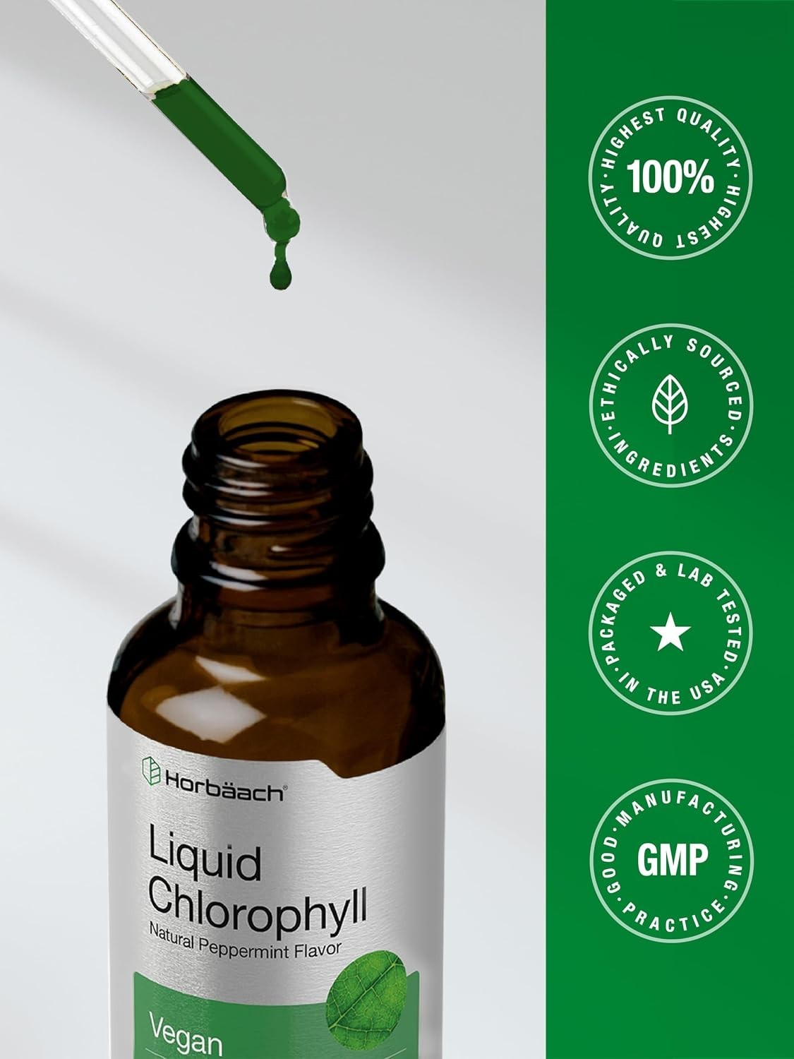 Liquid Chlorophyll Drops – 2 fl oz Supplement with Peppermint Flavor