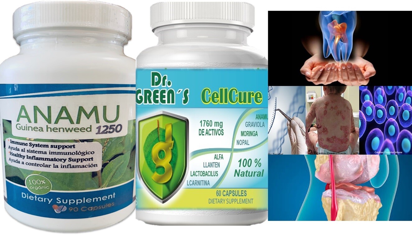 Probiotic madre cell Afa nopal Anamu Cell Protector Antioxidant regenex