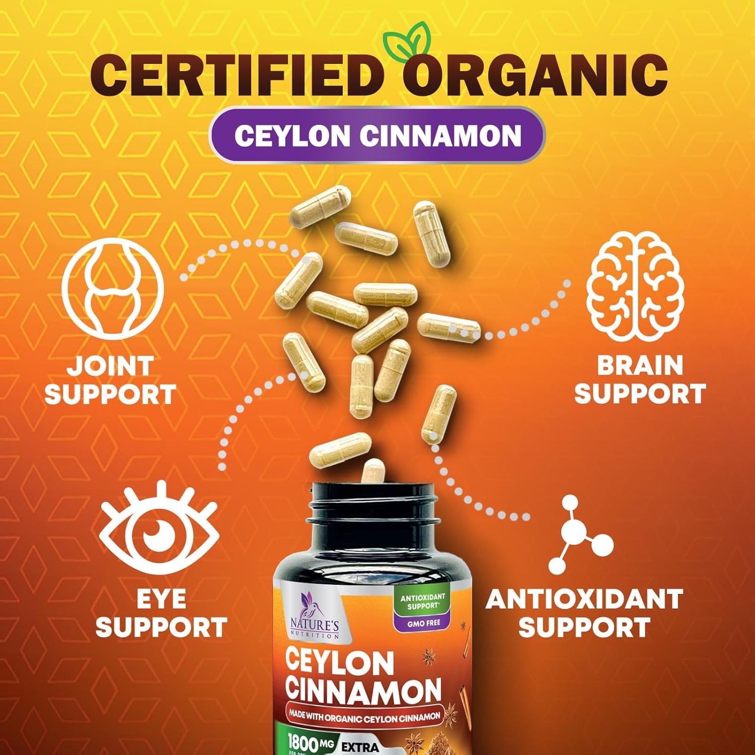 Organic Ceylon Cinnamon Supplement 1800Mg – Certified Organic Ceylon Cinnamon Po