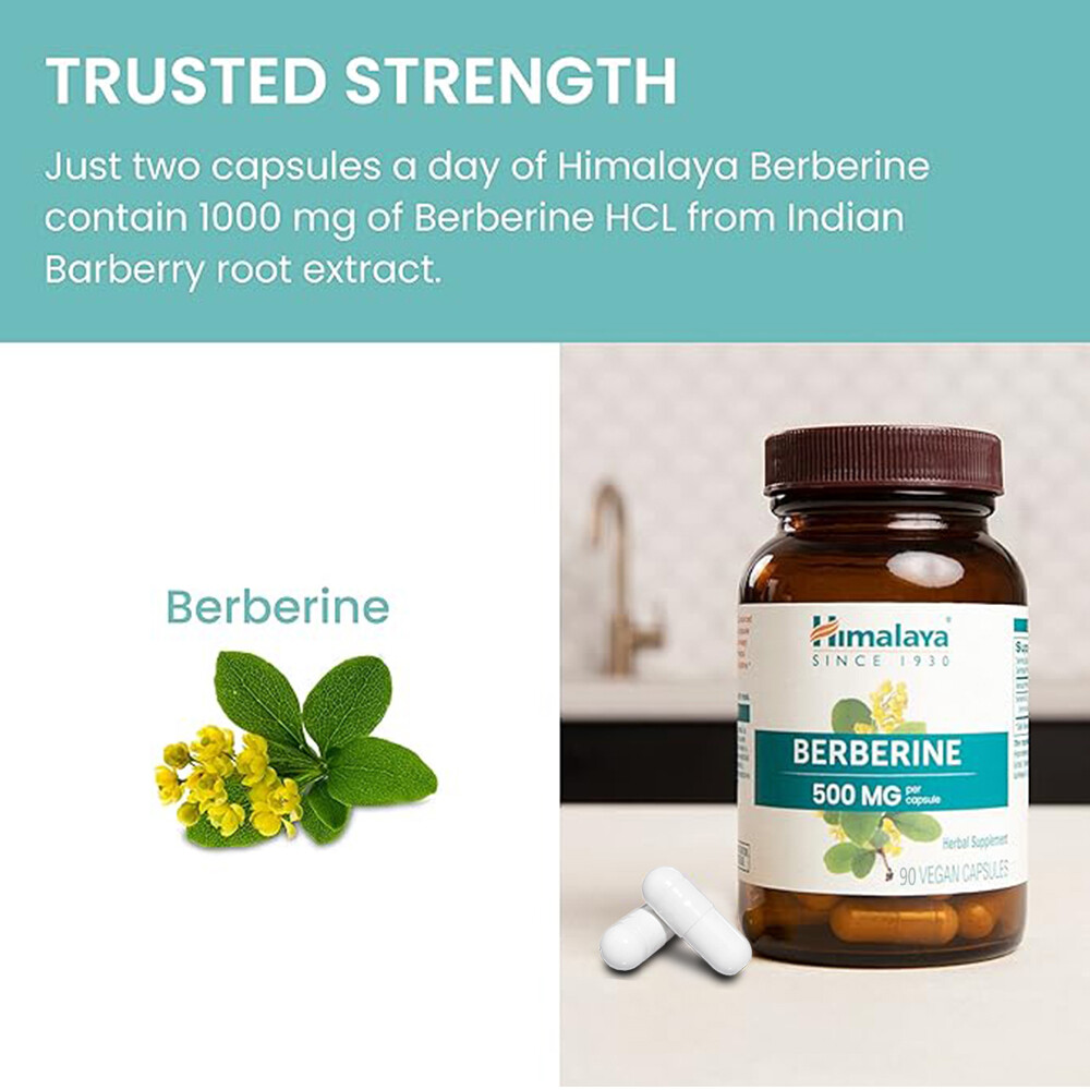 Himalaya BERBERINE 500 mg Per Capsule , 90 Vegan Capsules