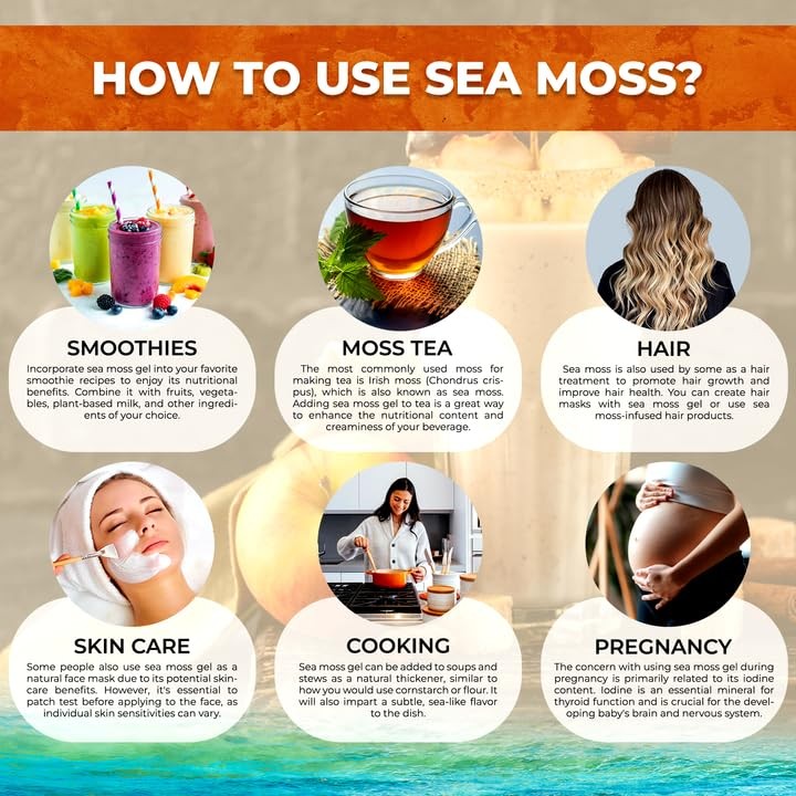 Irish Sea Moss Gel Raw Wildcrafted Superfood Seamoss Gel Apple Cinnamon Fla…
