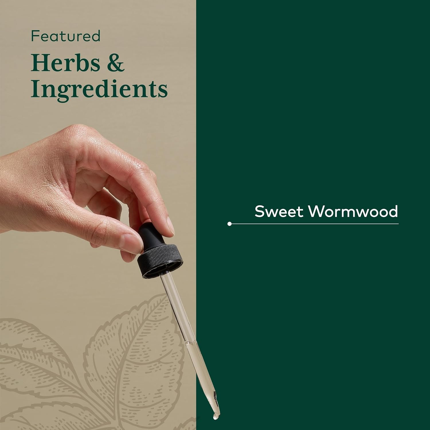 Gaia Herbs Pro Sweet Wormwood Digestive Elimination Support, 2 oz