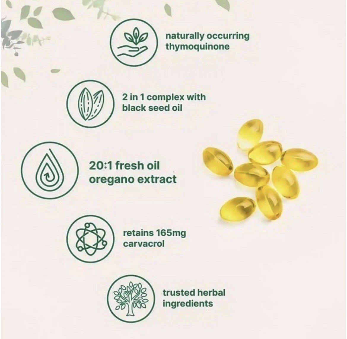 2 in 1 Oil of Oregano & Black Seed Softgels Count,Immune Support,with Carvacrol