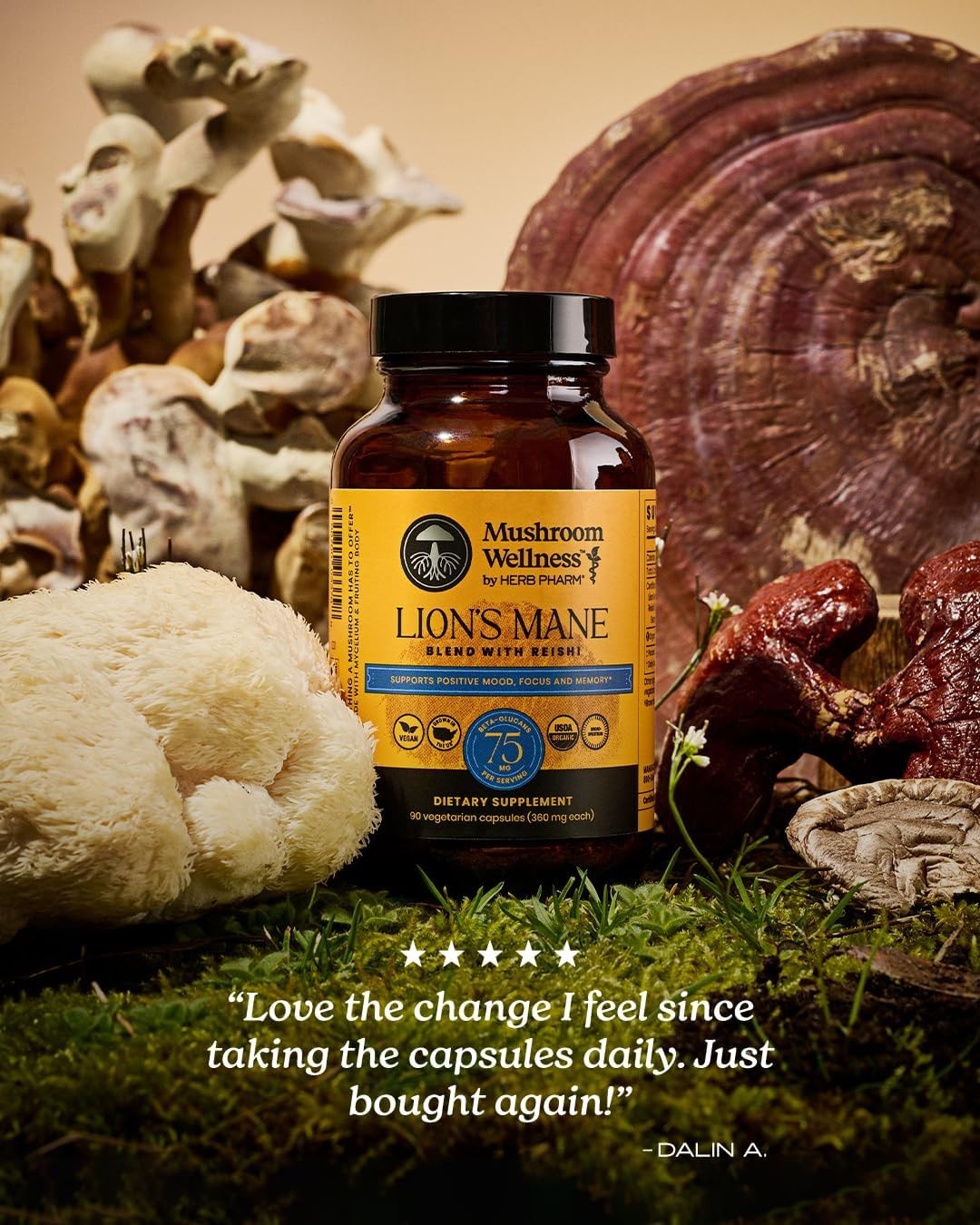 Organic Lion’s Mane & Reishi Capsules – 90 Capsules for Mental Clarity