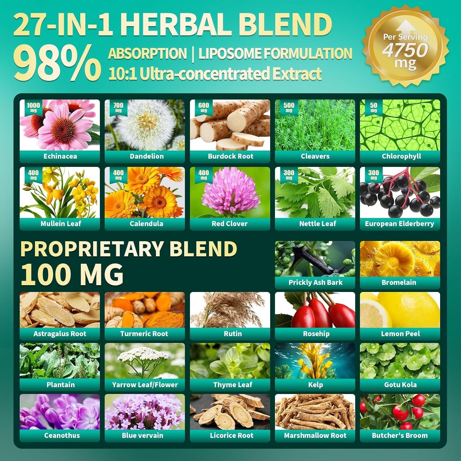 Natural 27-in-1 Lymphatic Support with Mullein & Burdock – High Potency Formula