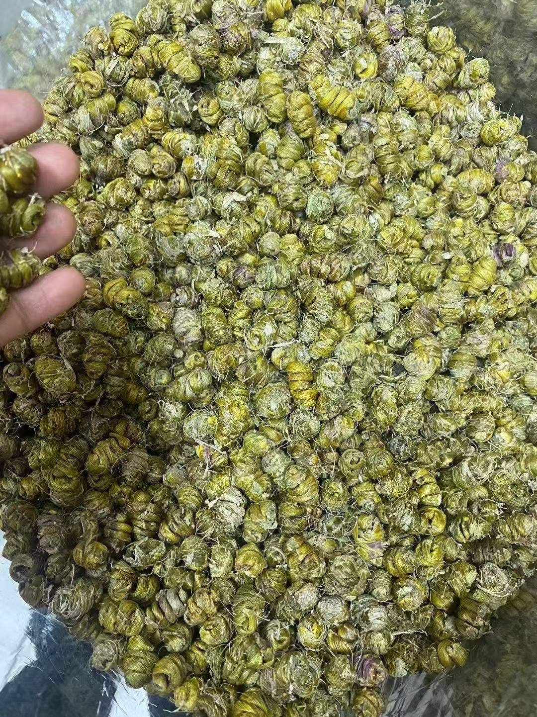 铁皮石斛 1lb