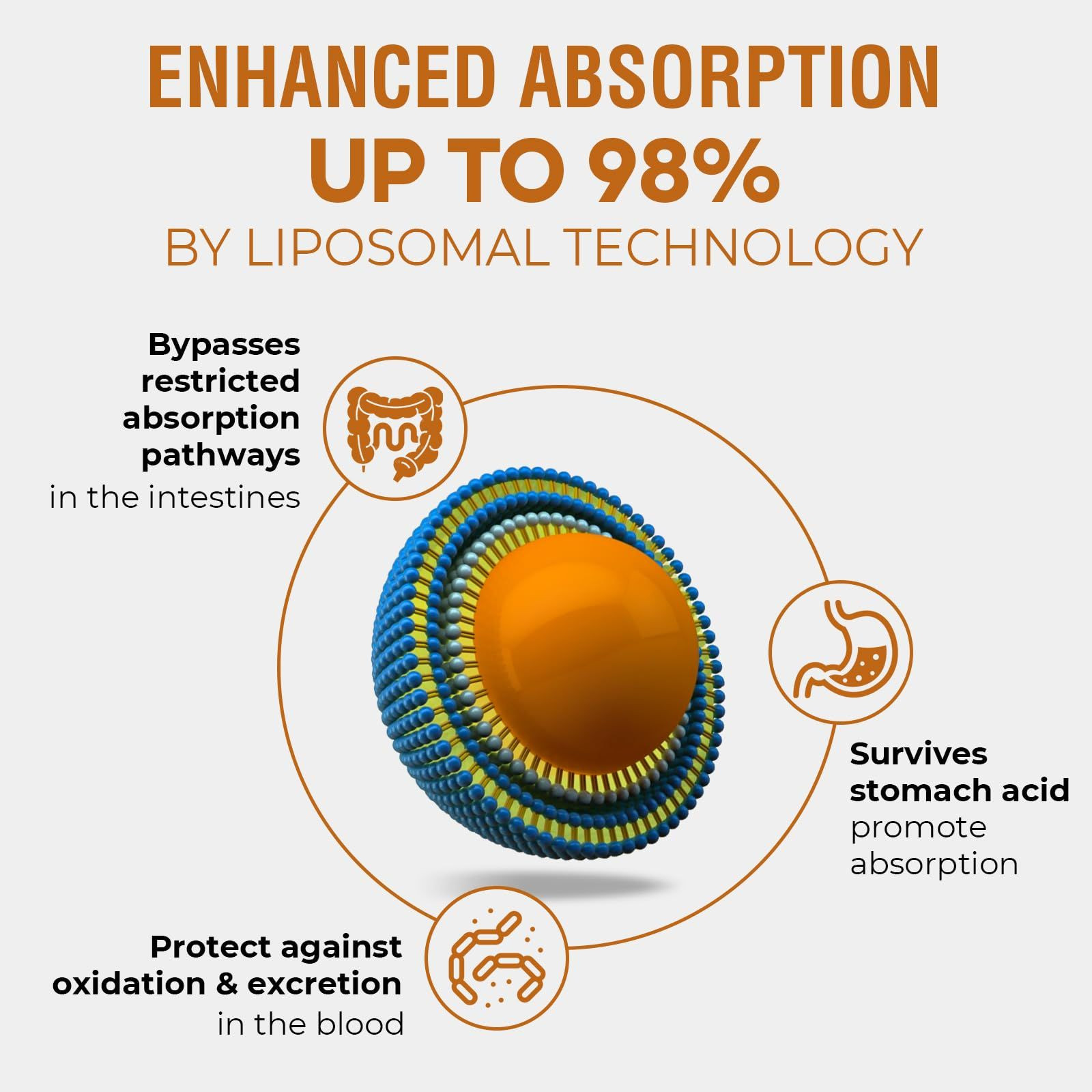 57,000 MG Liposomal Active Rhodiola Rosea Supplement with 2 Fl Oz (Pack of 1)